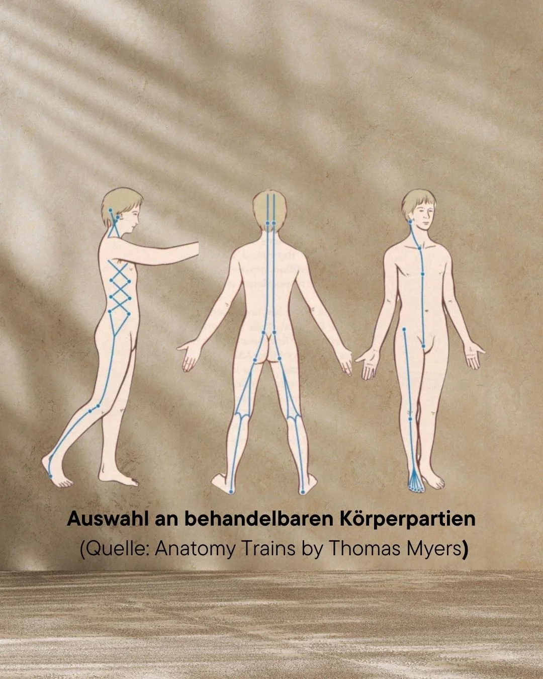 Anatomy Trains.jpg