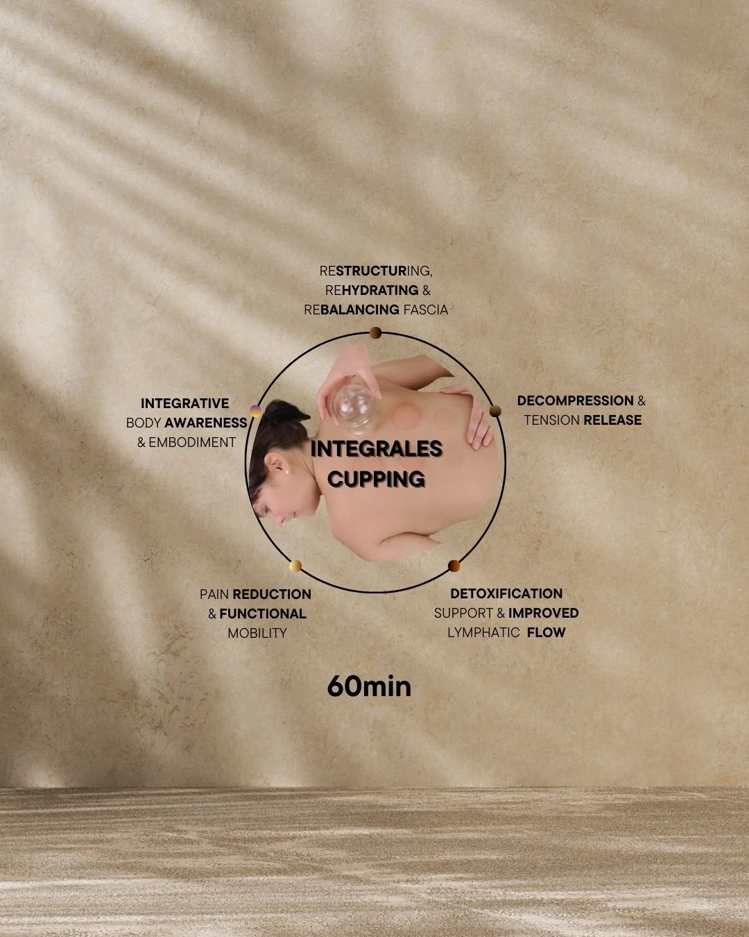 Cupping / Schröpfen 60min (mind. zwei Körperpartien)