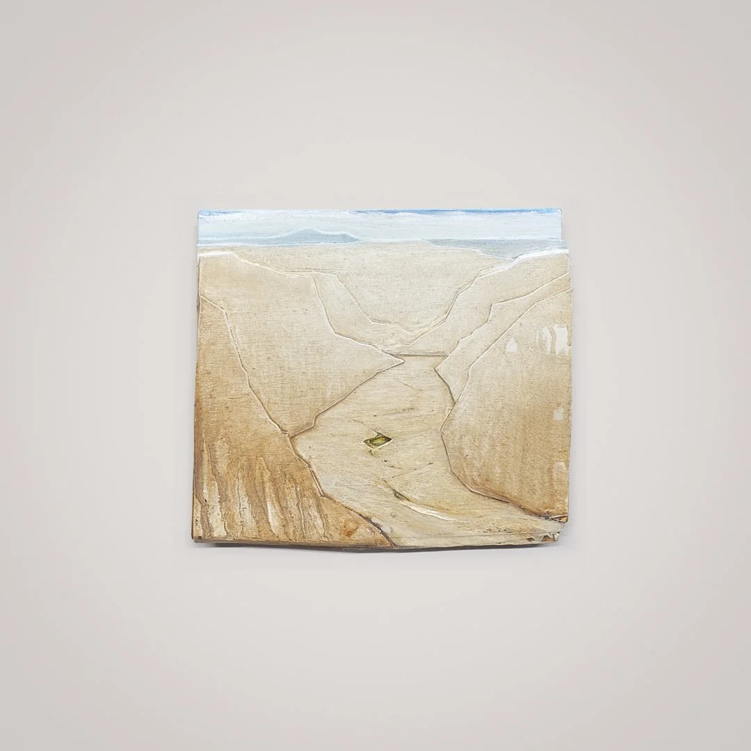 Lamina 26 (spring canyon)