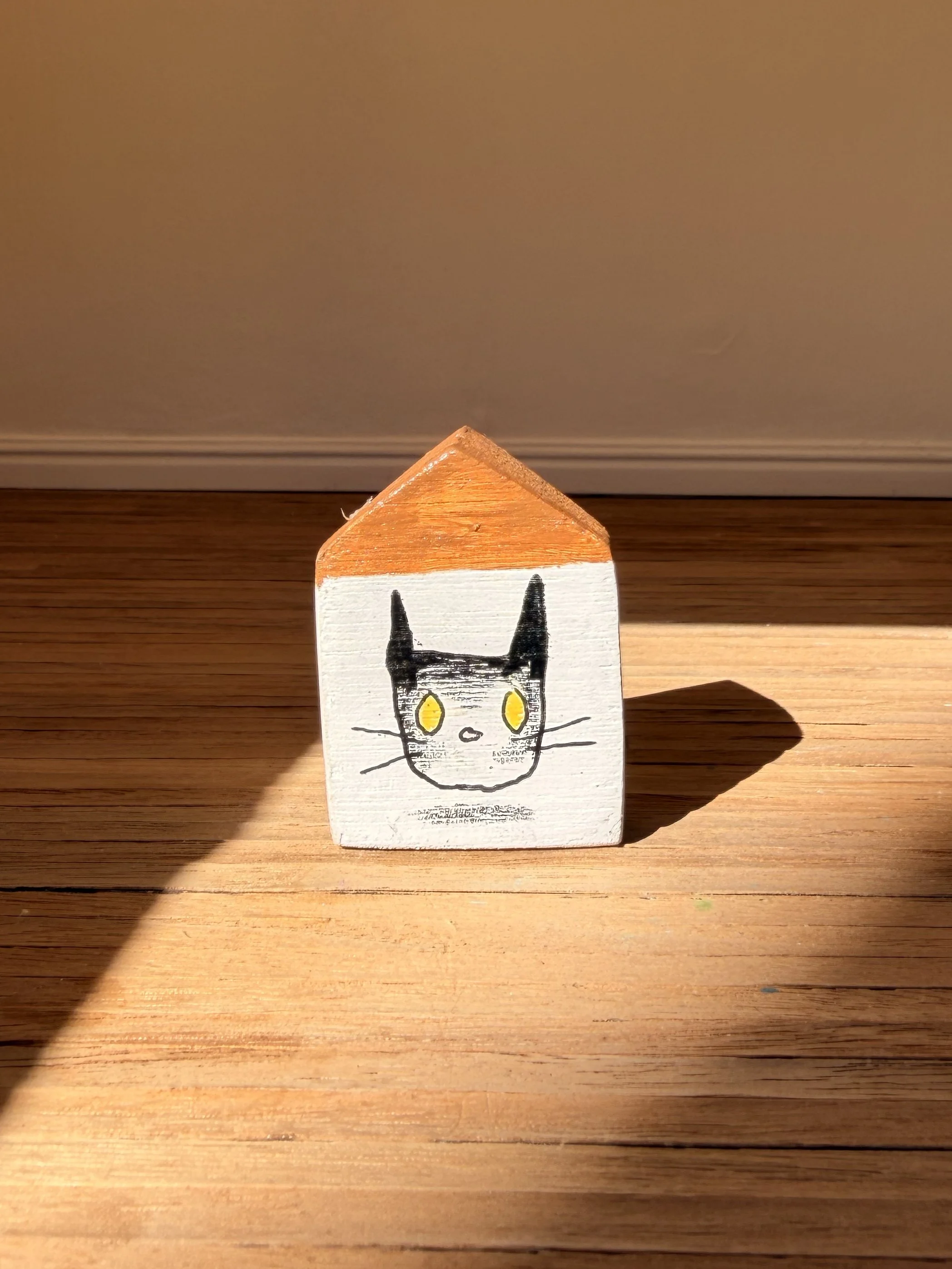 Kaz_house16b.jpg
