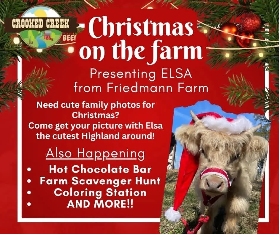 Christmas on the Farm