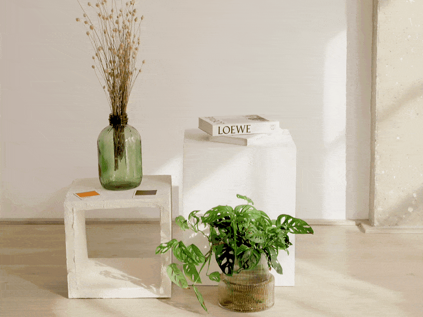 Decorative interior with a green glass vase containing dried flowers on a white cube, a book titled "LOEWE" on another white cube, and a potted Monstera plant in a woven basket on the floor.