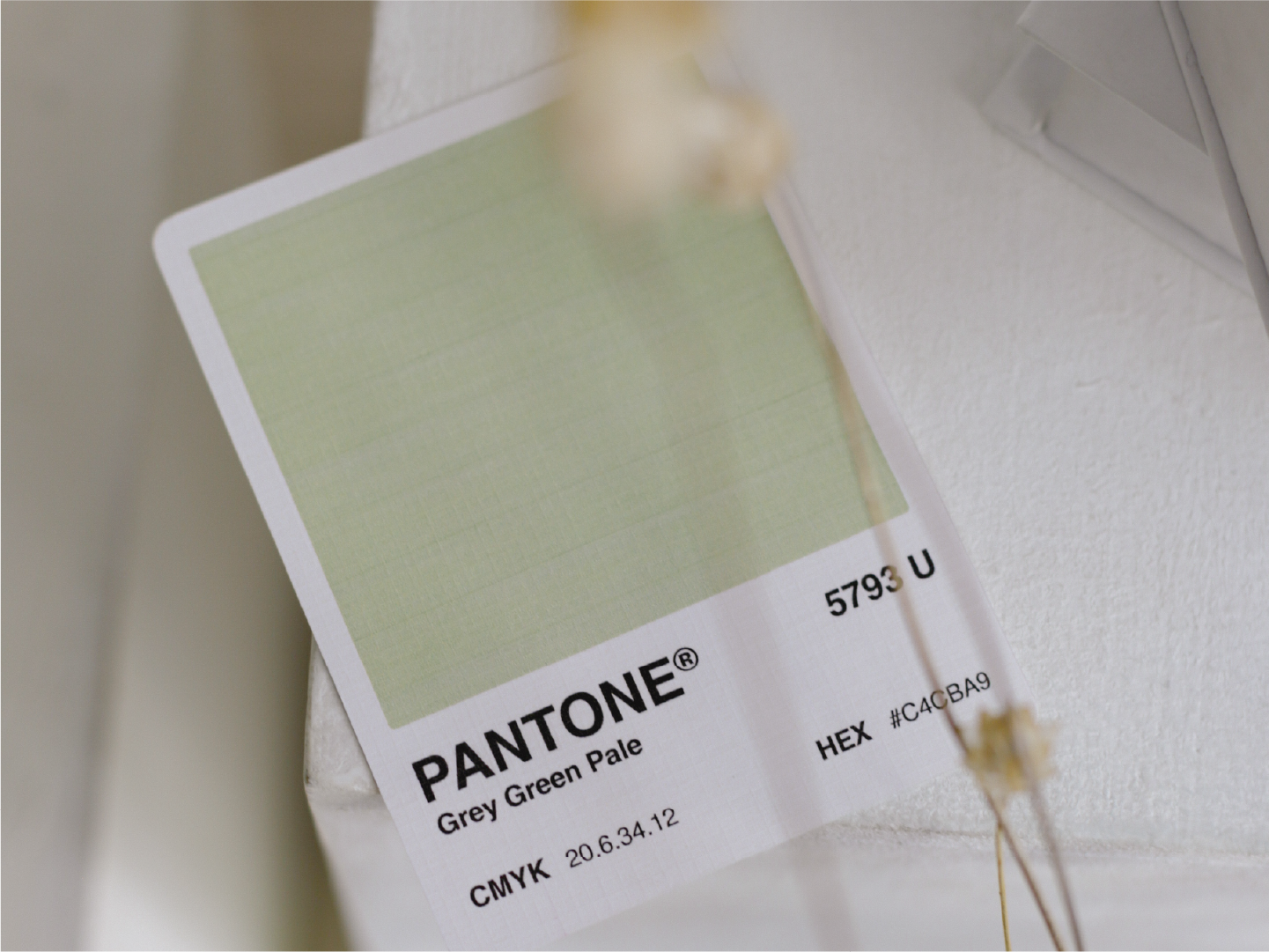Pantone color sample card displaying a grey-green pale color with the Pantone number 5793 U.