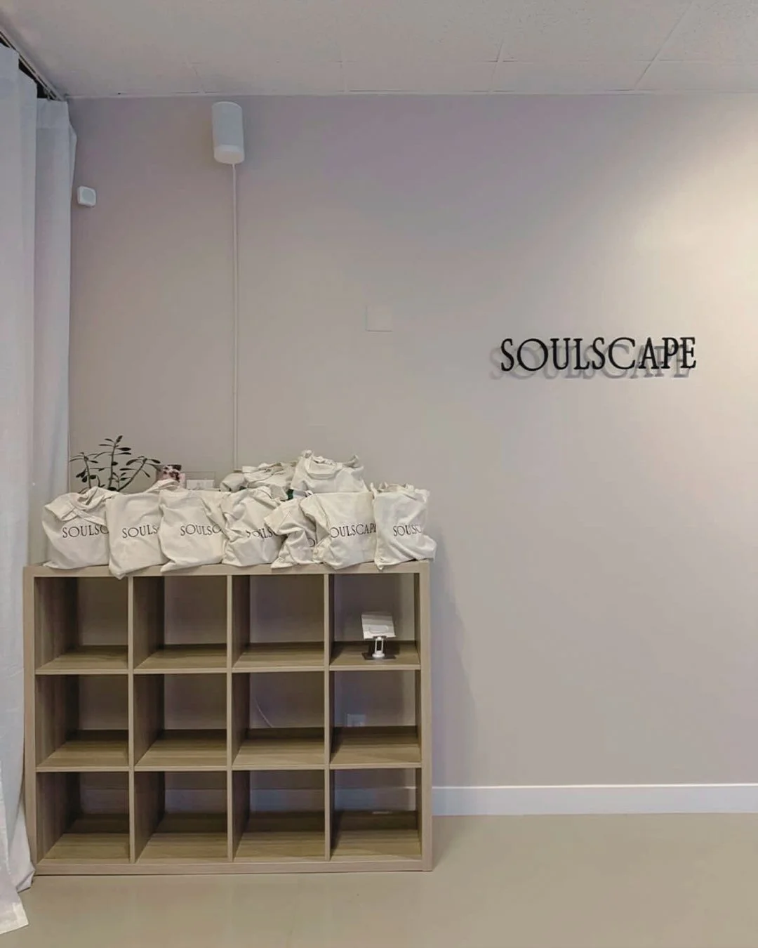 brandidentityandwebsiteforwellnesstudio_soulscapestudio_interior.jpg