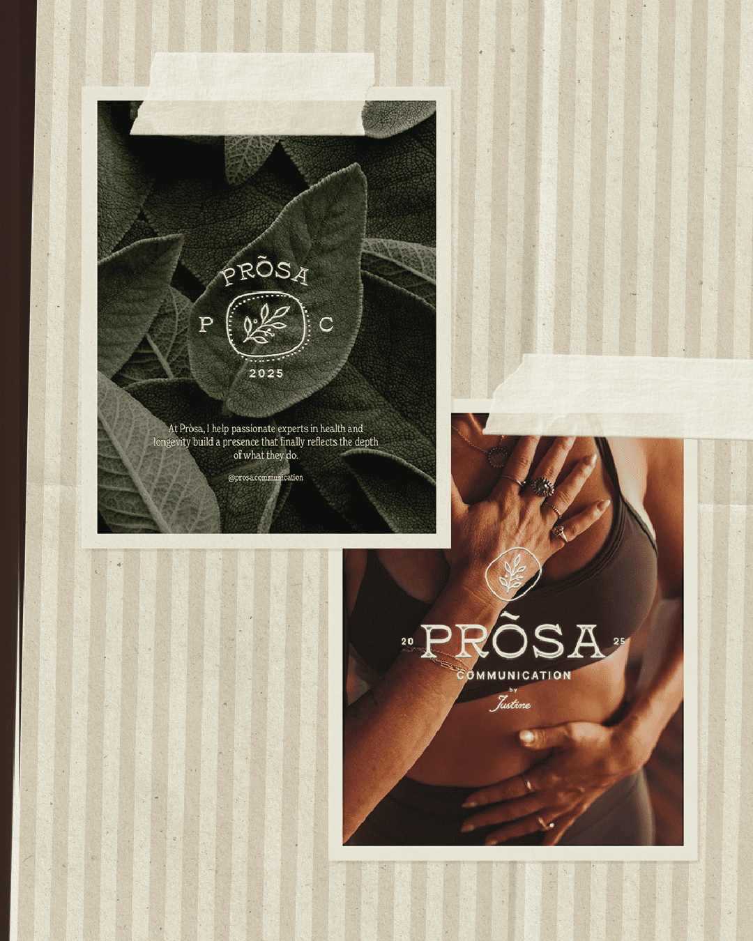 brand-collateral-for-wellness-brand.png