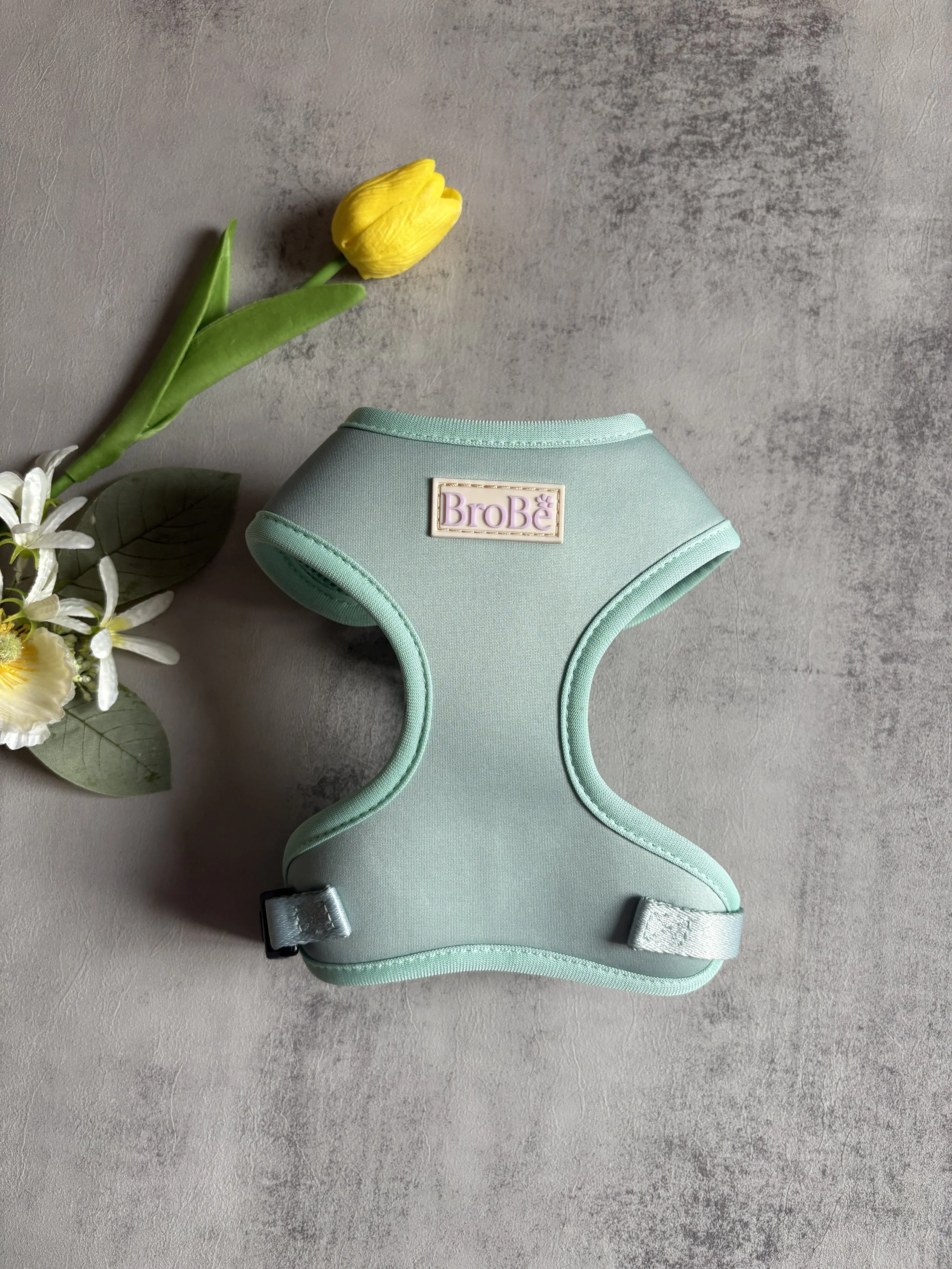 Brobè Comfort Harness - Mint