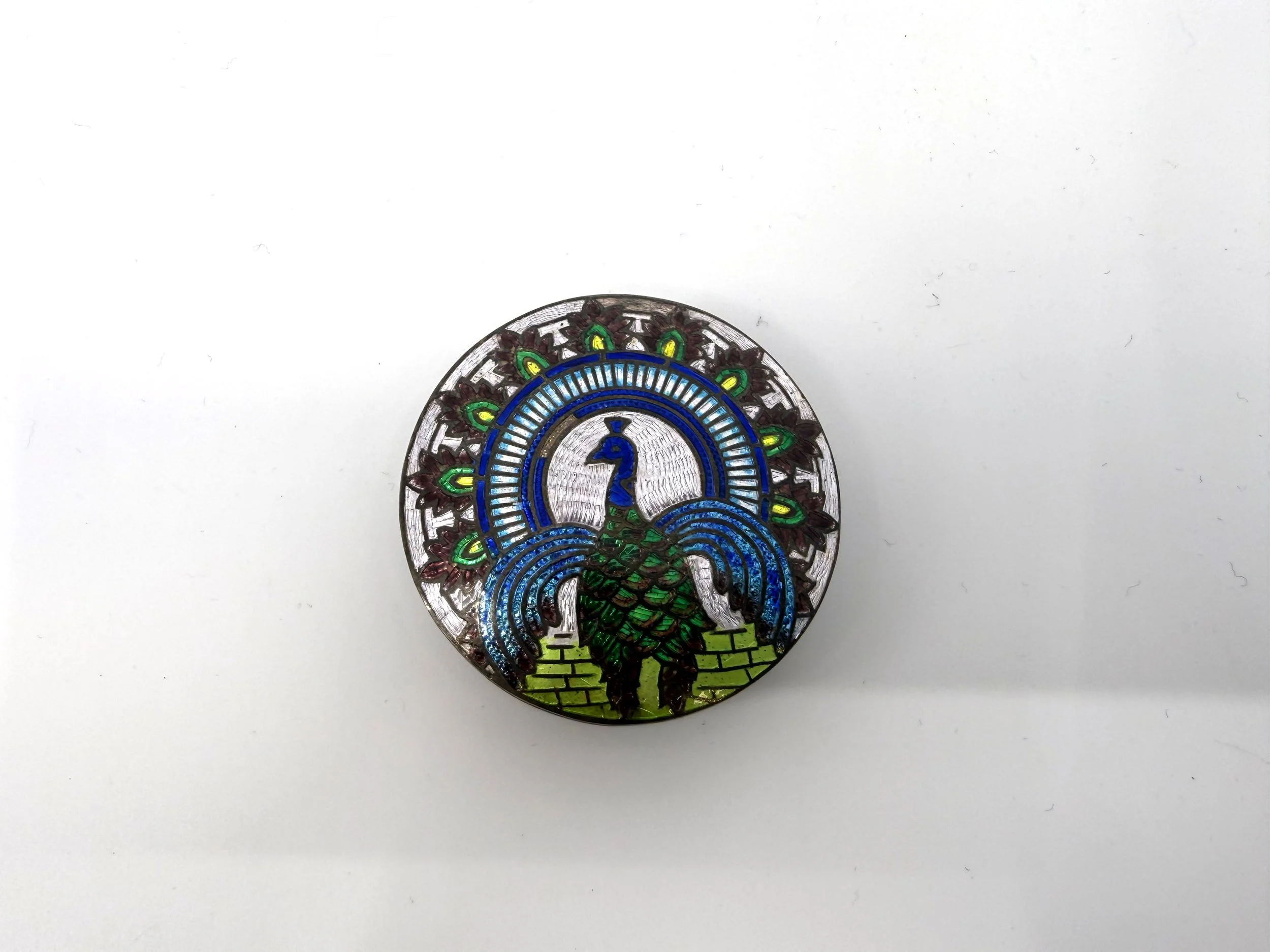 Peacock 3.jpg