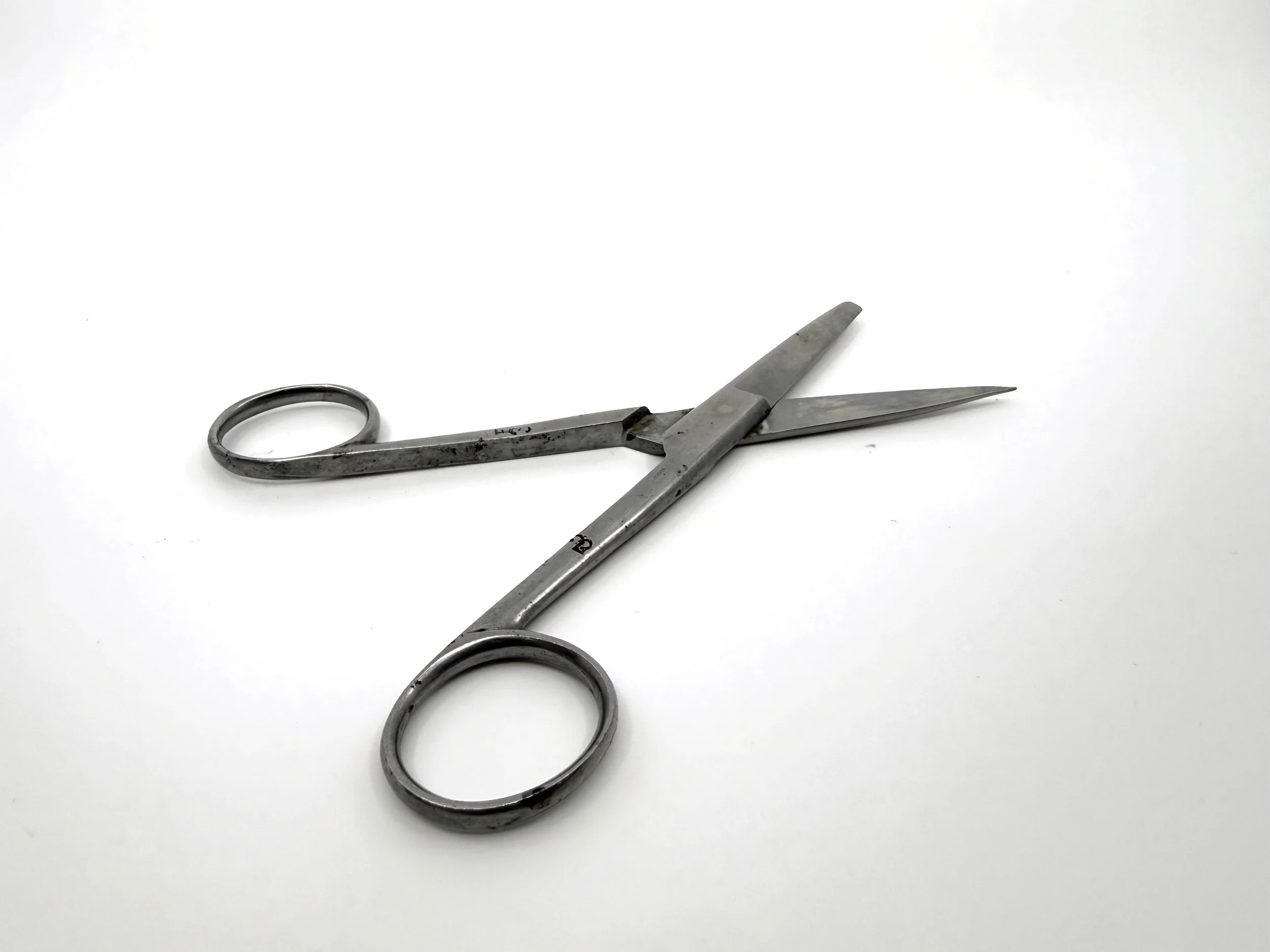 Found Surgical Scissors: Paul Lee