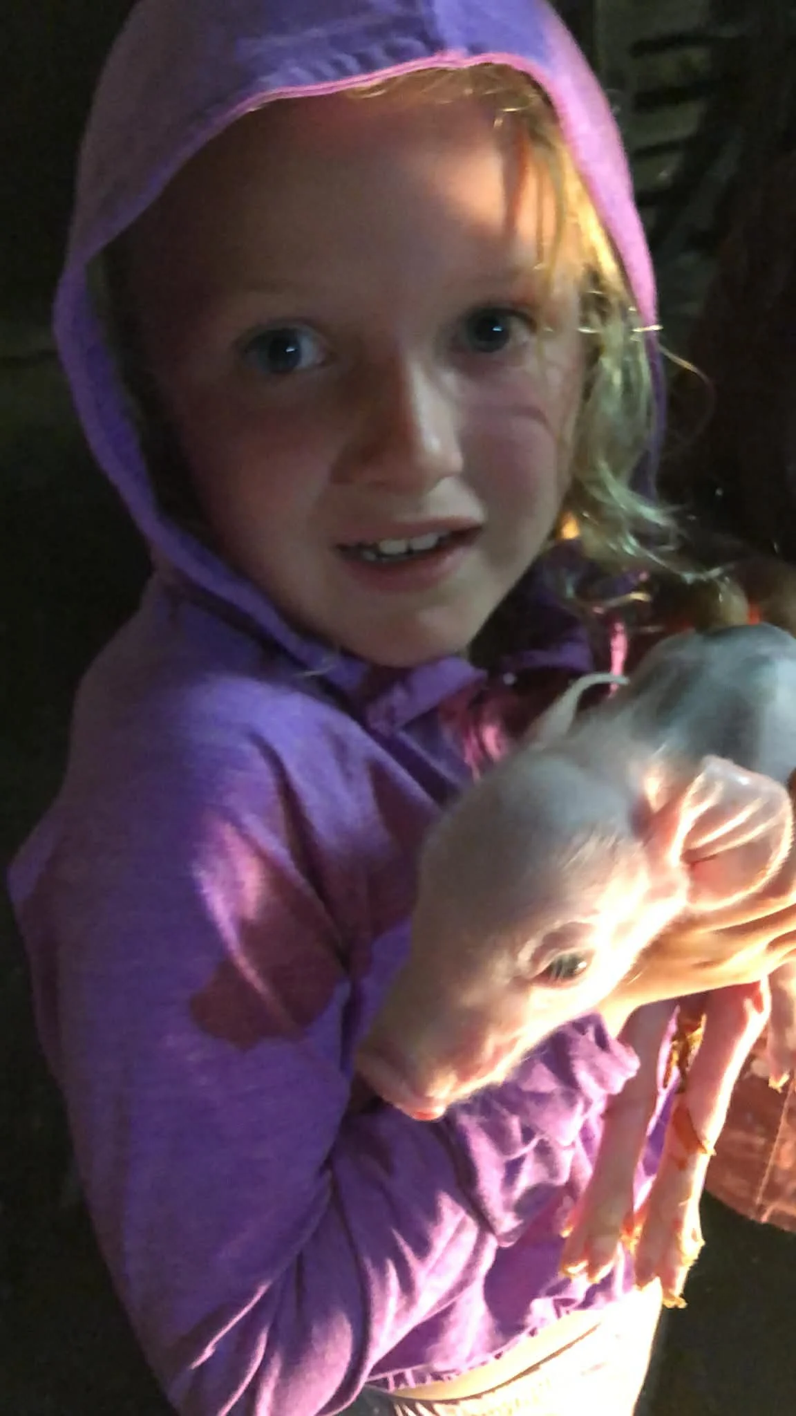 Reporting Live Ep. 3: “Have Baby 🐷 Now”