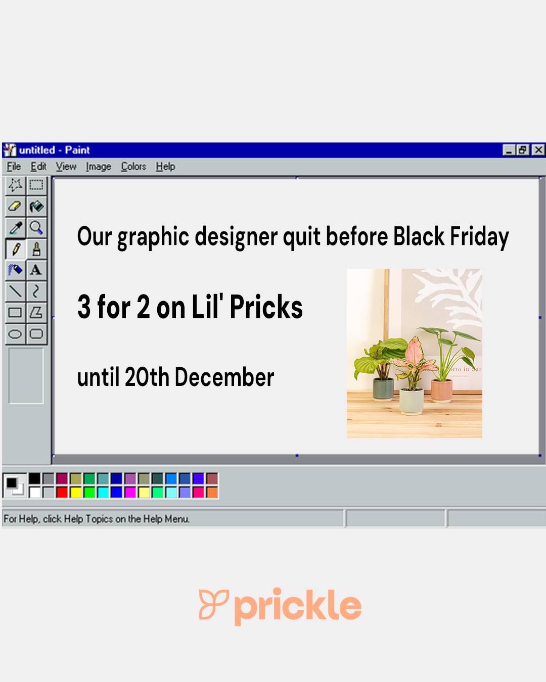 A digital graphic design featuring a Windows Paint window with promotional text for Prickle, a plant store. The text announces that their graphic designer quit before Black Friday, offering 3 for 2 deals on Lil' Pricks plants until December 20th. There is a photo of three potted plants in pastel-colored pots on a wooden surface to the right of the text.