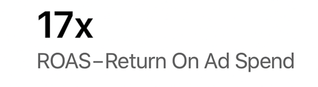 Text displaying '17x ROAS-Return On Ad Spend'.