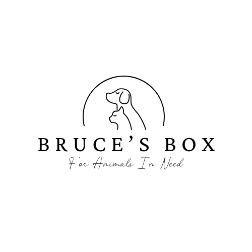 Bruce&#x27;s Box