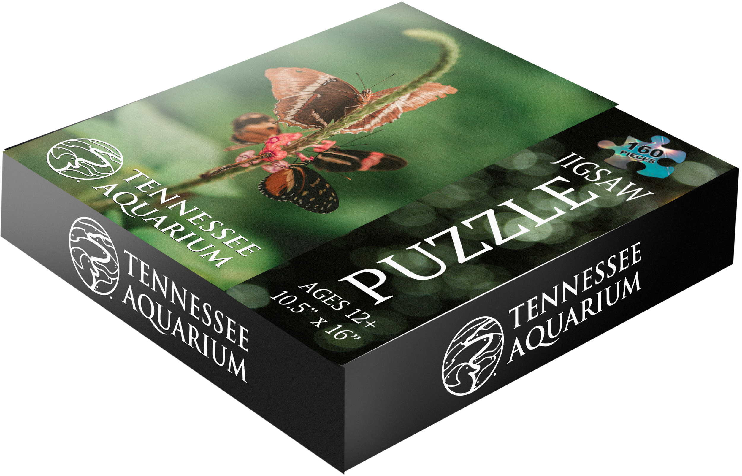 Untitled_Artwork 1.png