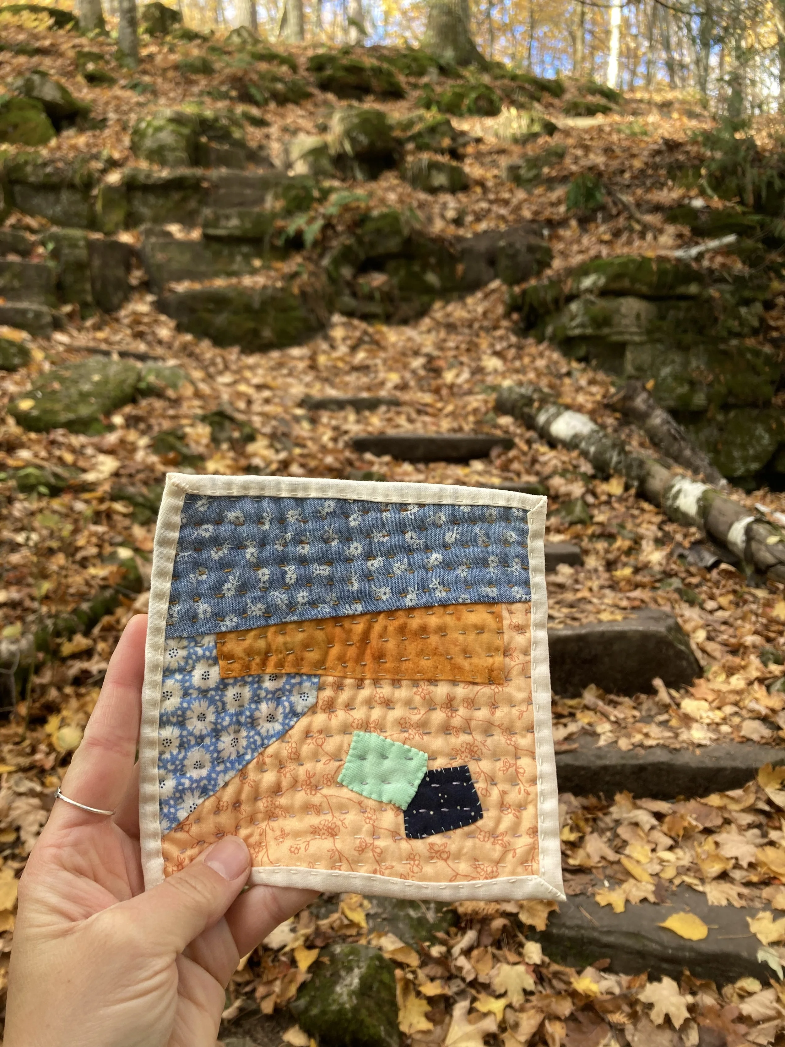 October, 2025 - Potawatomi State Park, WI