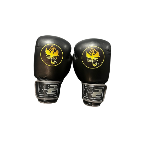 Custom Adult Aztlan 16oz Boxing Gloves