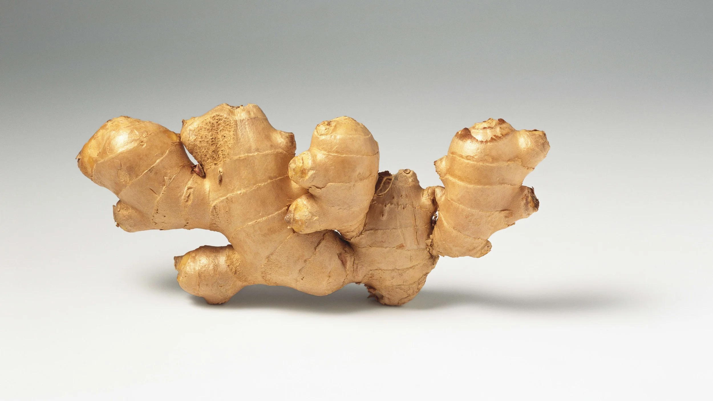 Ginger Roots – Fresh, Fragrant, and Full of Flavor