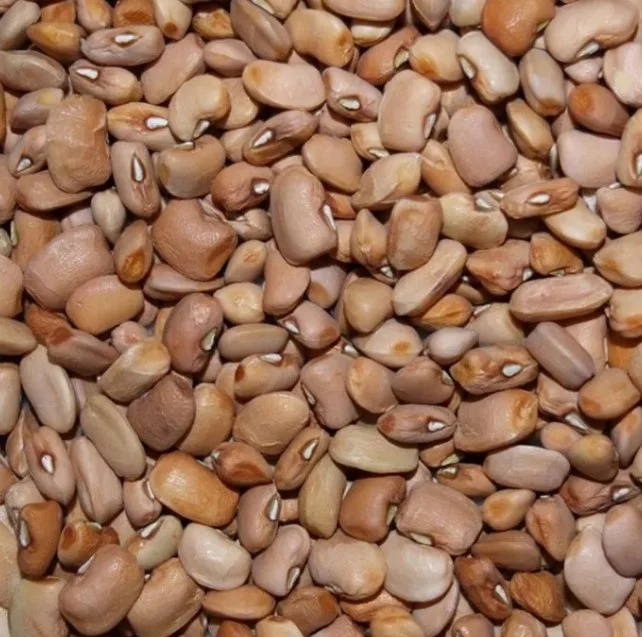 Nutritious Honey beans