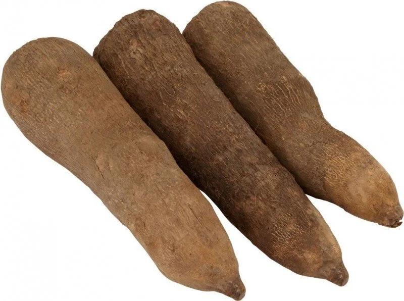yams1-wpcf_800x596.jpg