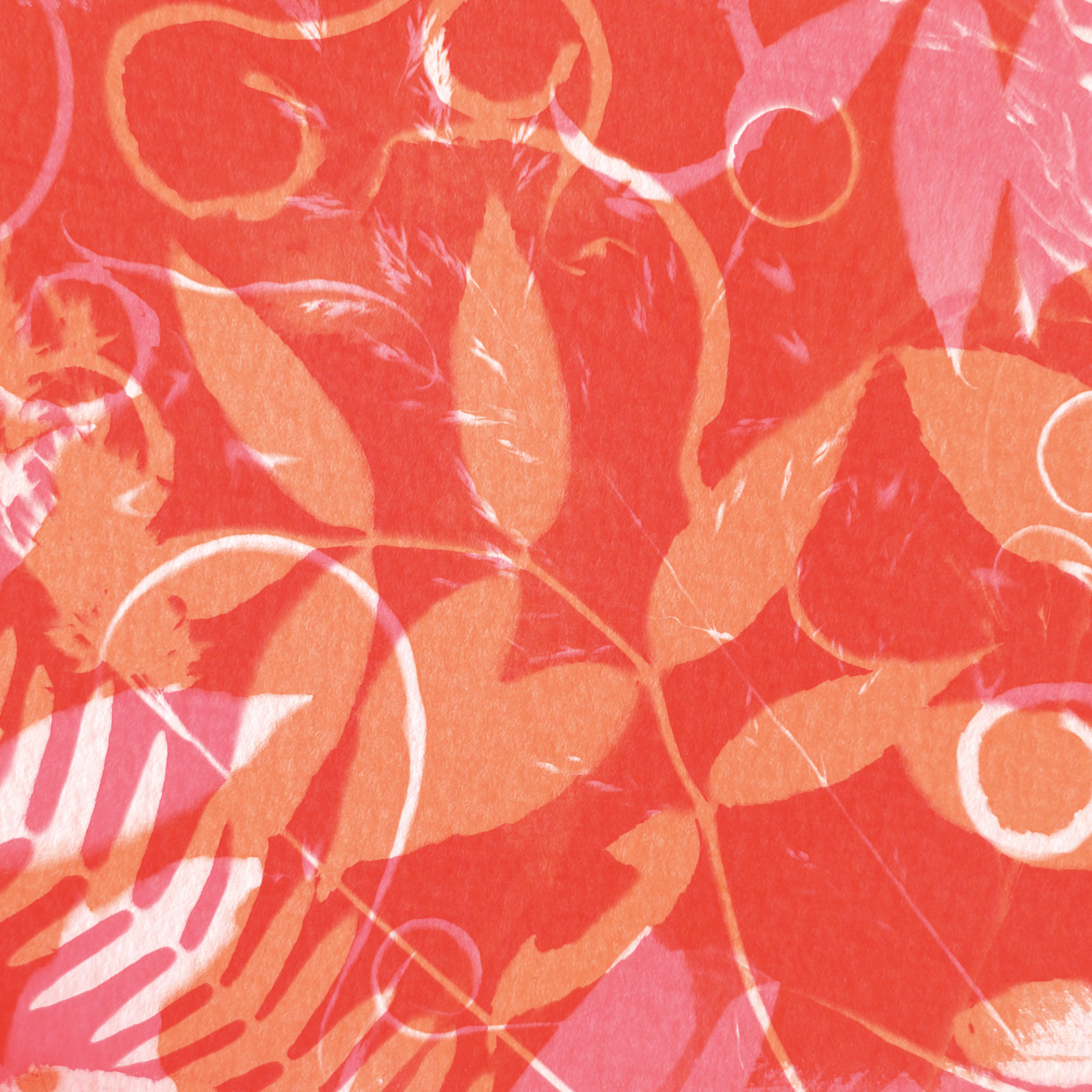 riso_cyanotype_6.png