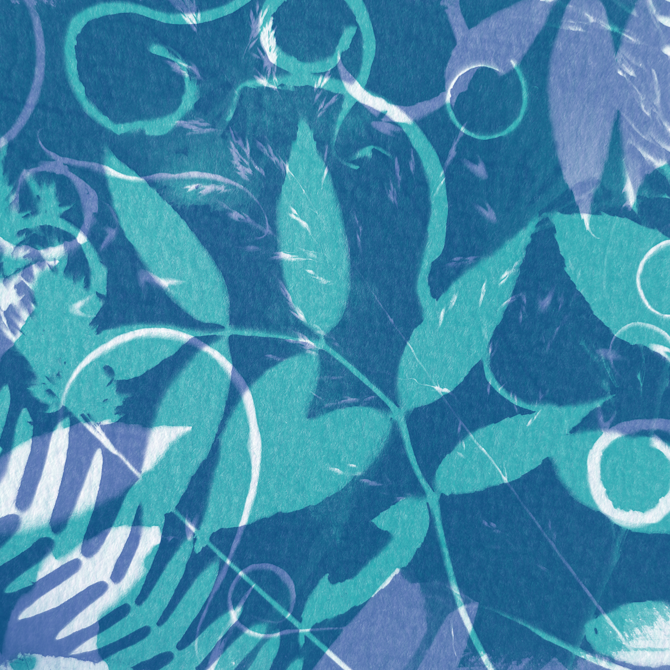 riso_cyanotype_5.png