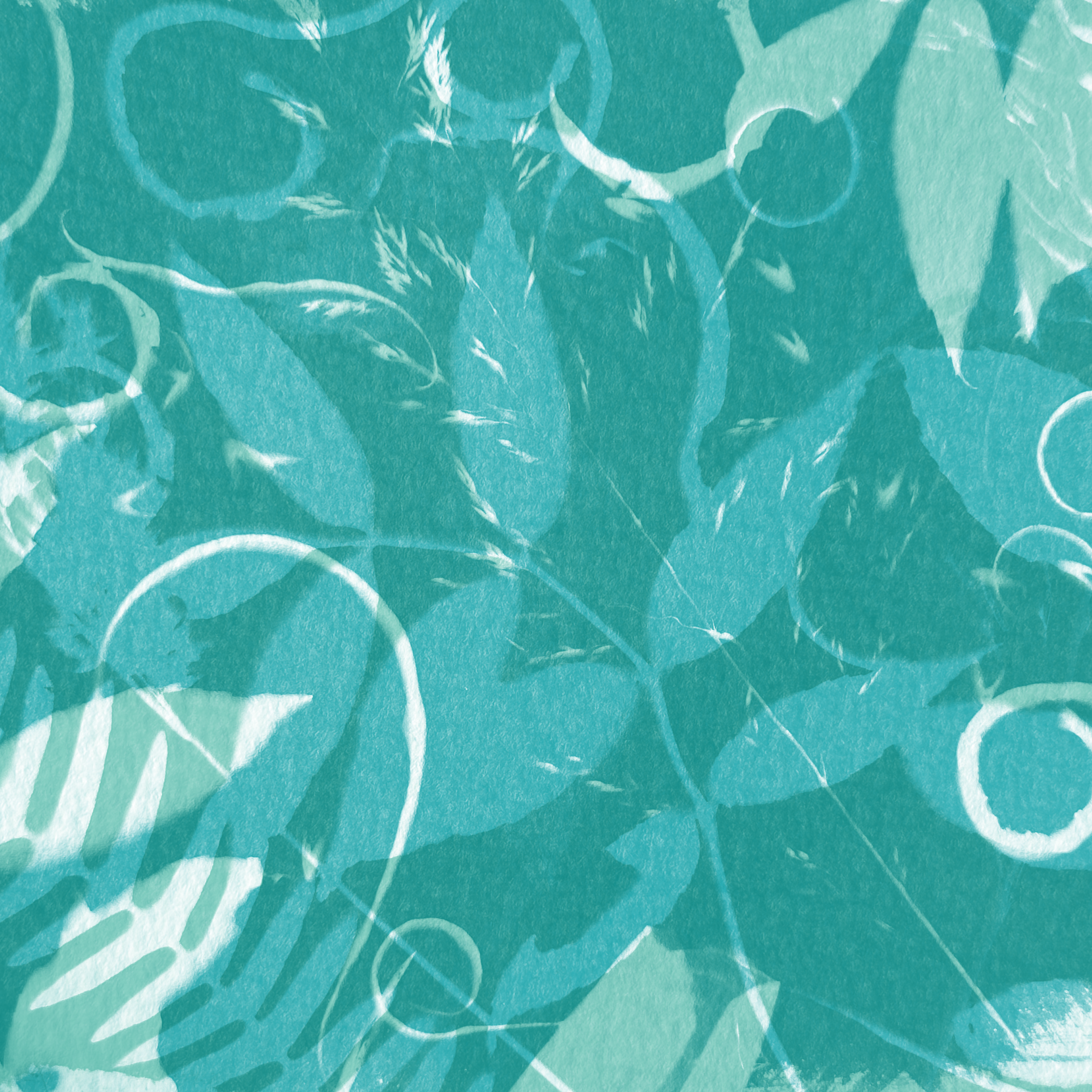 riso_cyanotype_3.png