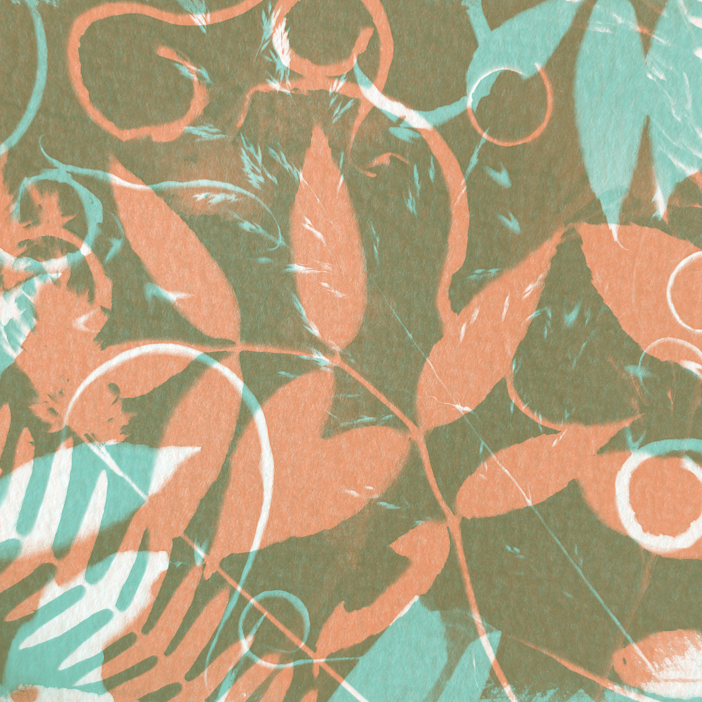riso_cyanotype_2.png