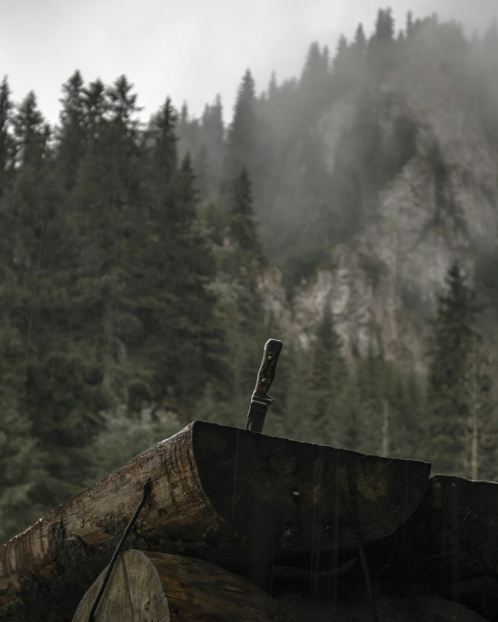 Bushcraft - the art of capability in the wild