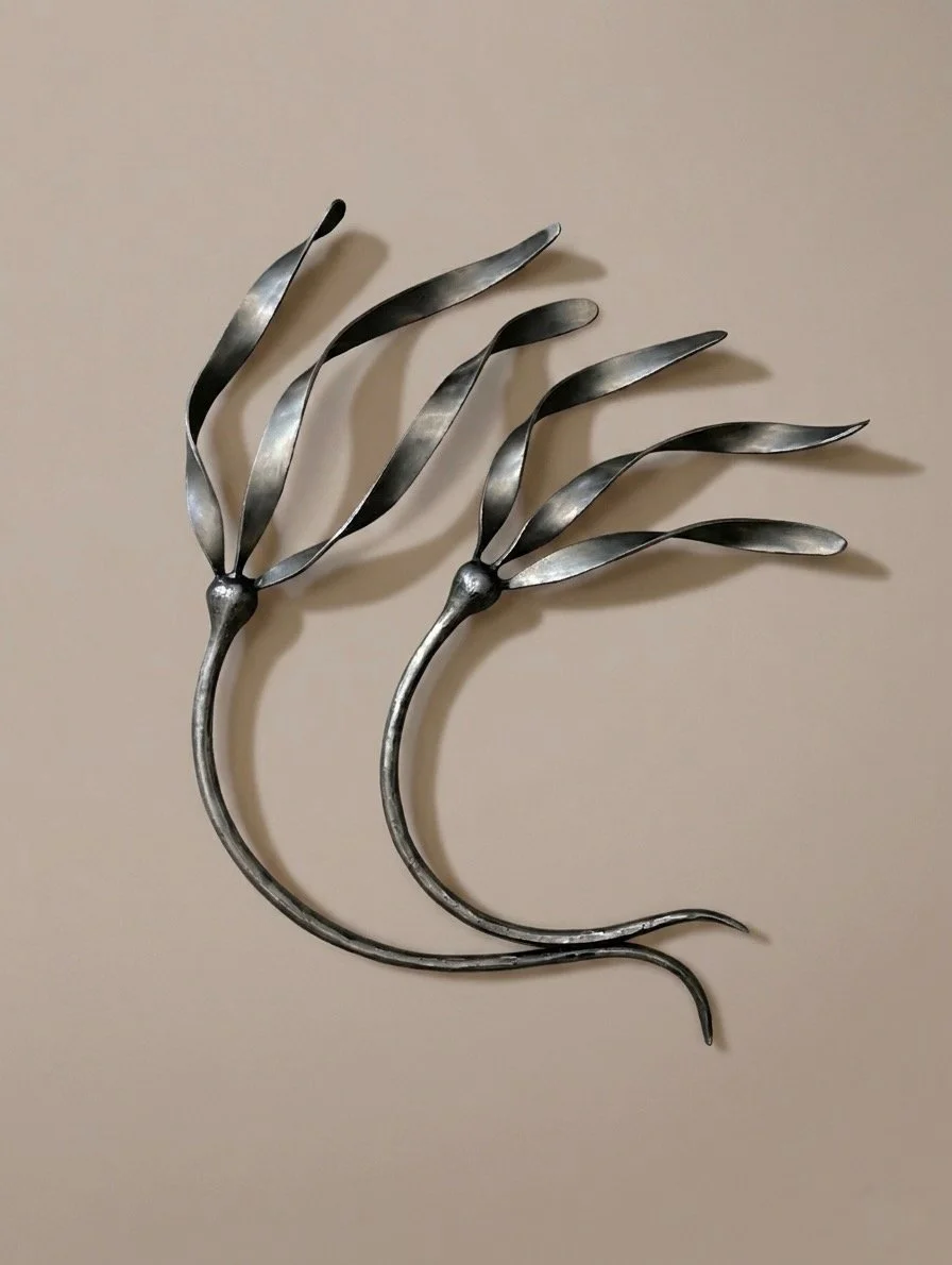 Kelp2s-01.jpeg