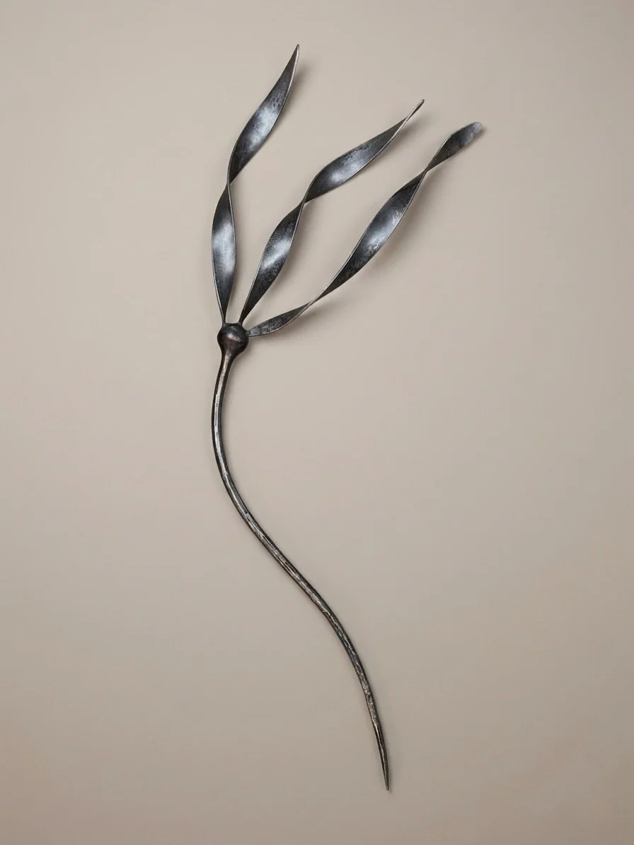 Large Wall Kelp