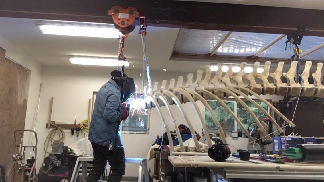 a welder stands at the front of a whale skeleton, welding with sparks flying