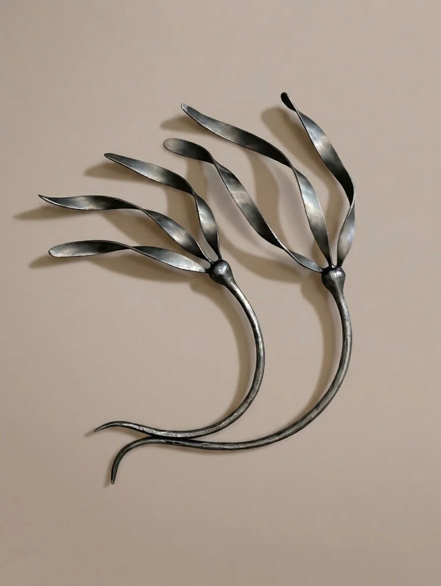 Kelp2S-pt.jpeg