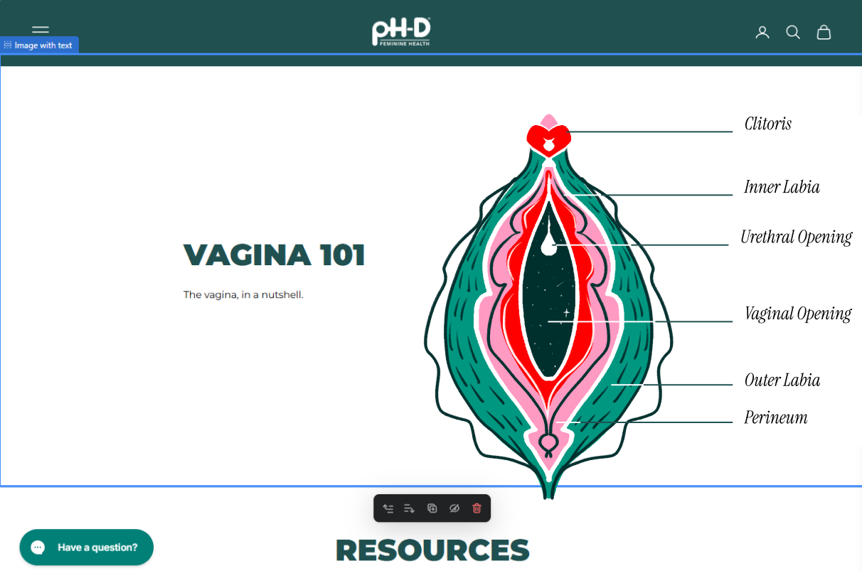 Diagram of the female genitalia showing parts labeled as clitoris, inner labia, urethral opening, vaginal opening, outer labia, and perineum.