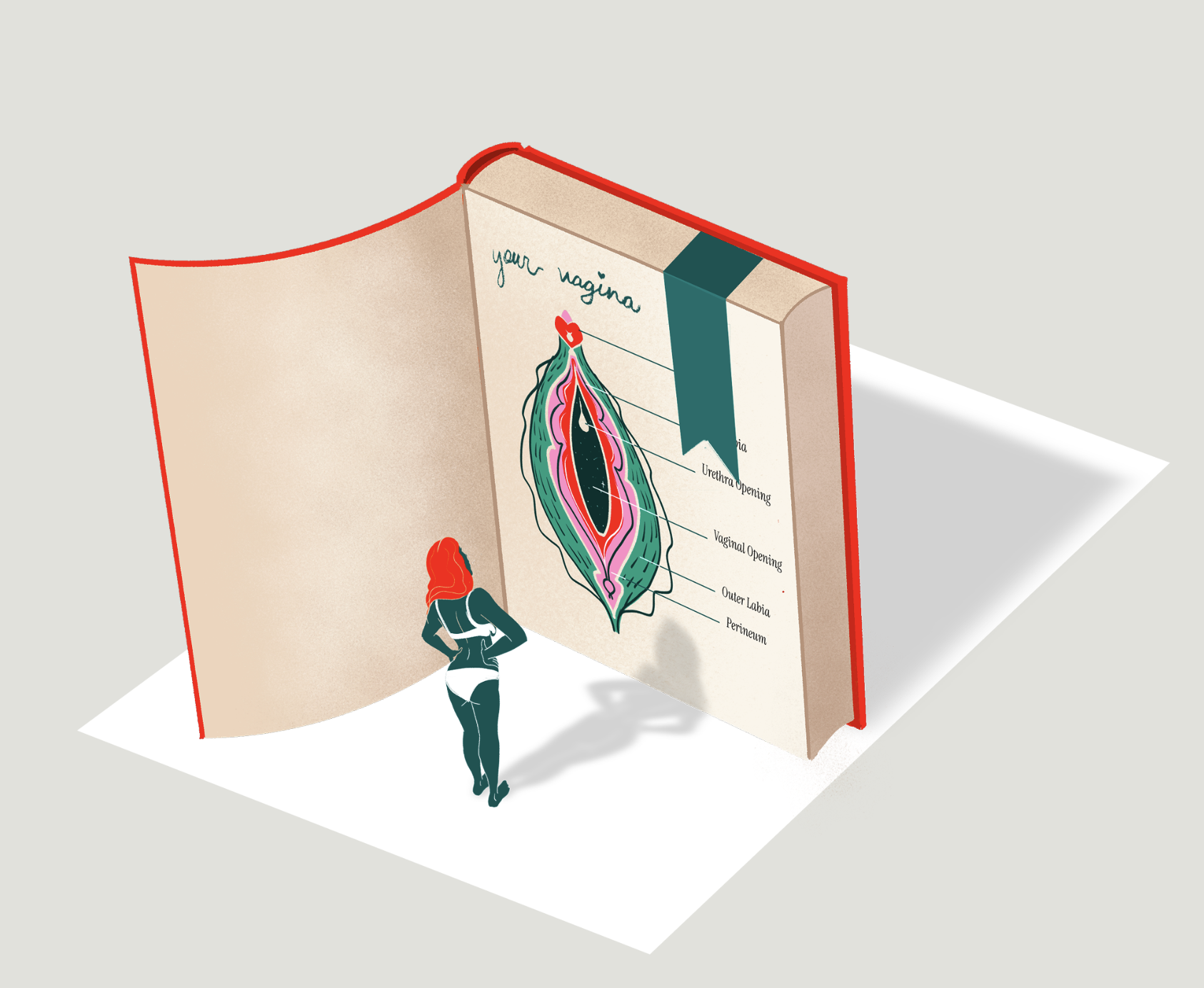 A woman with red hair looking at a large diagram of female genitalia in a book, with labeled parts including urethra opening, vaginal opening, outer labia, and perineum. Cara Dunning Illustration