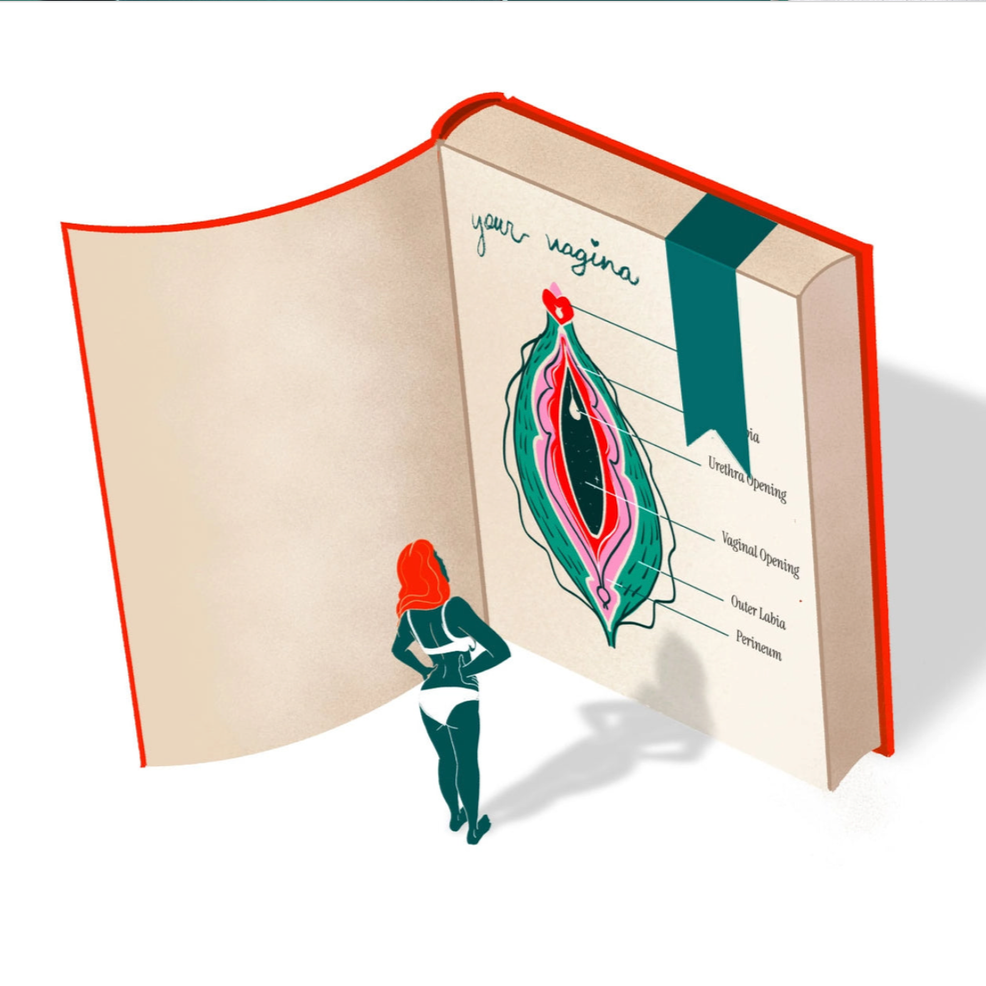 A woman with red hair stands in front of a large, illustrated diagram of the female reproductive anatomy inside a book. The diagram labels include the vagina, urethra opening, vaginal opening, outer labia, and perineum.