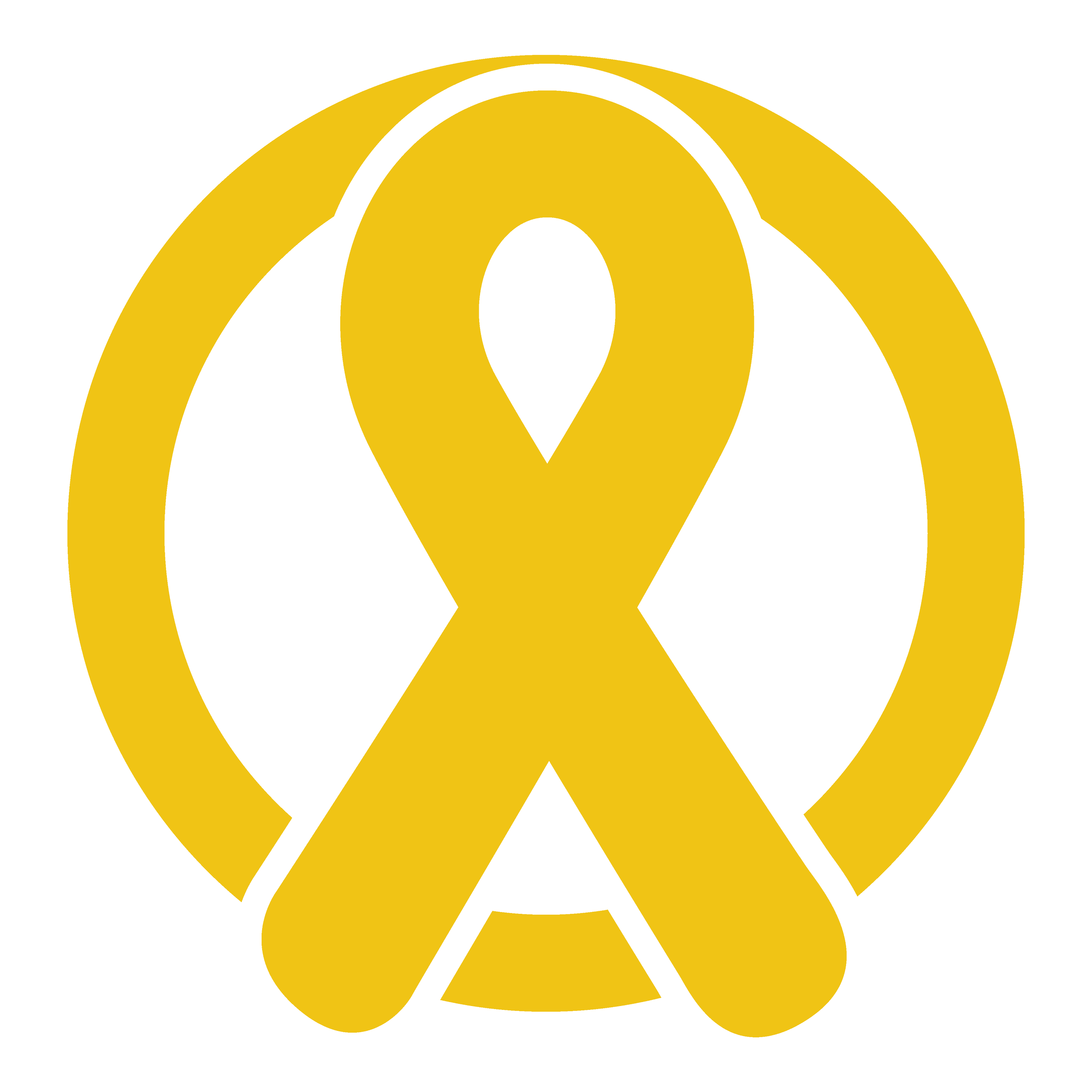 Childhood Cancer Lions