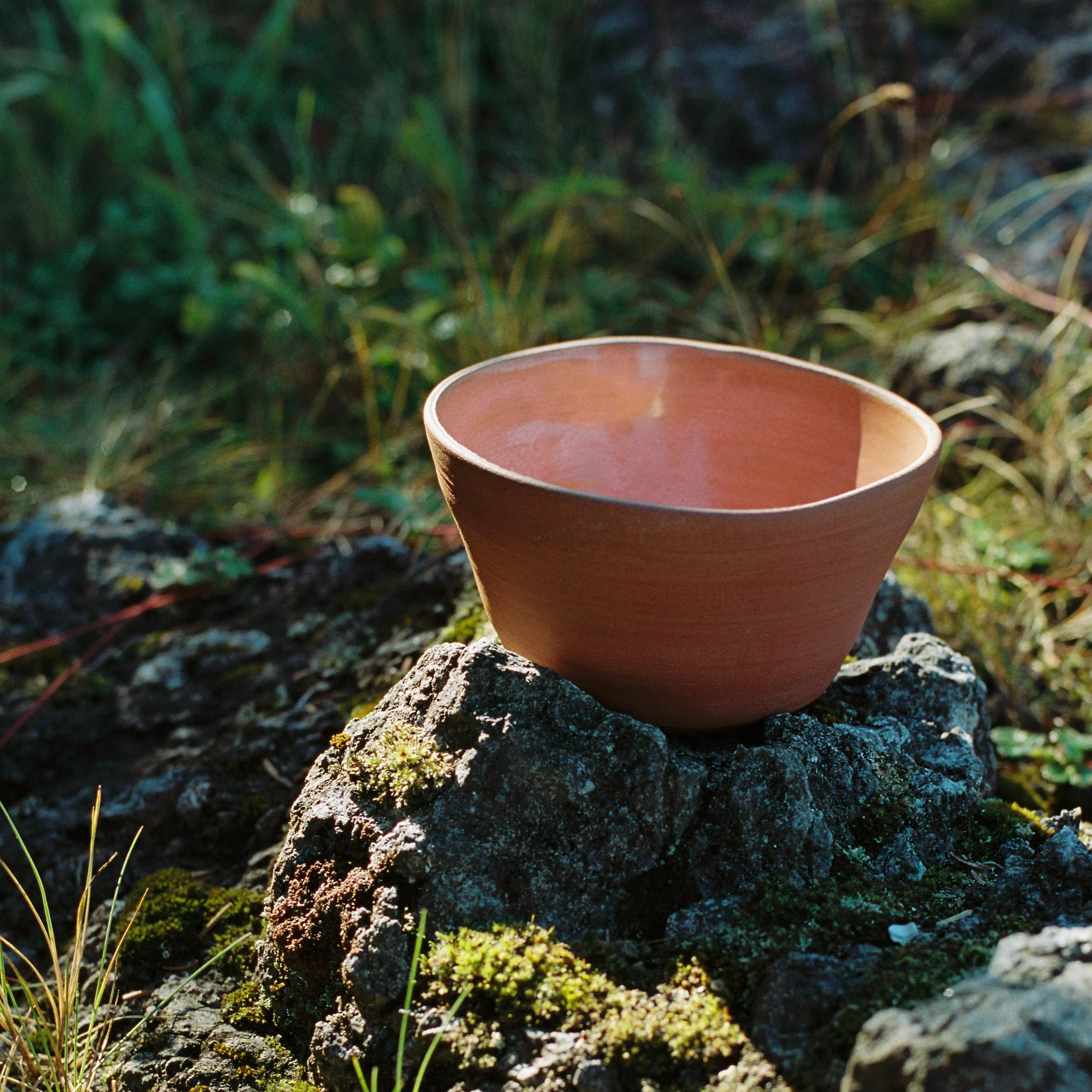 A terracotta bowl resting on a moss-covered rock outdoors with sunlight and greenery in the background.
