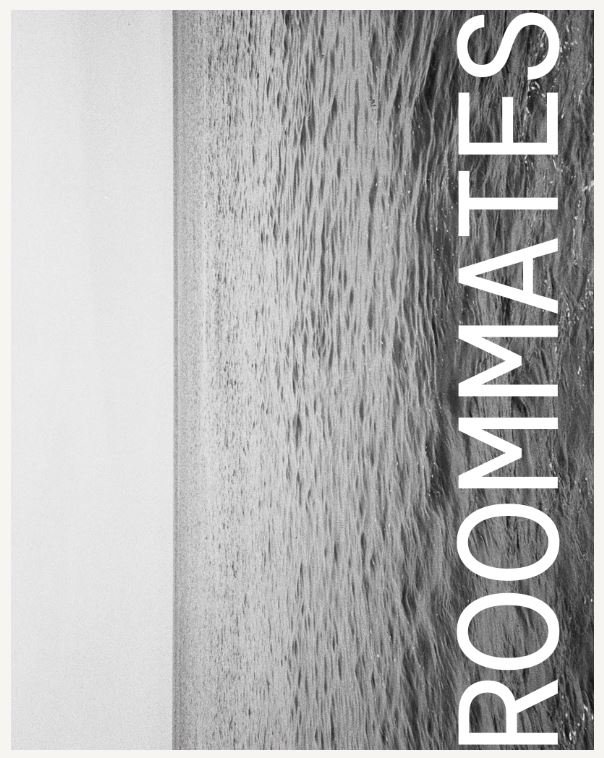 Roommates Zine - ryanmichael