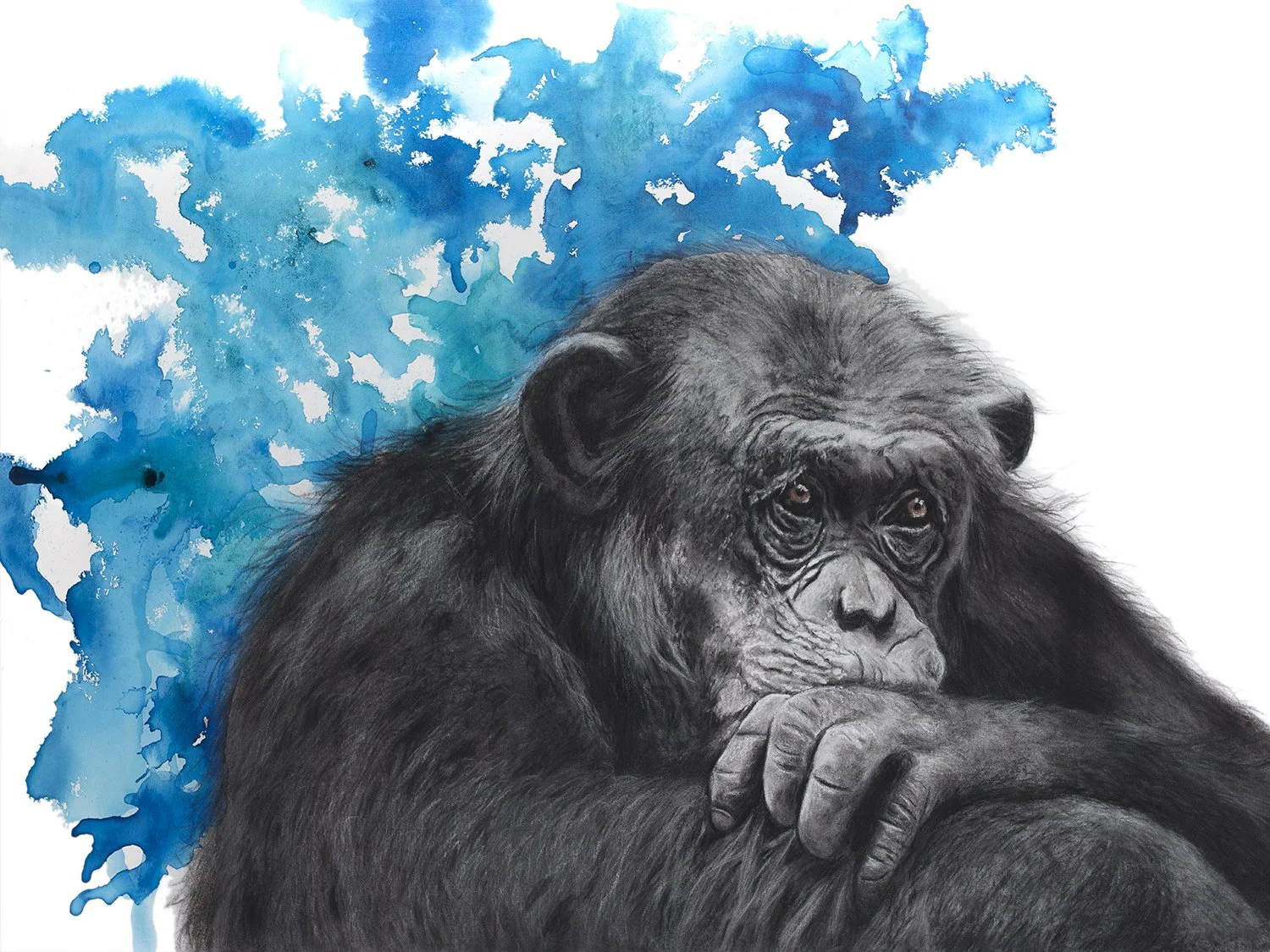 Feeling blue_AnnikaWessmark_1500.jpg