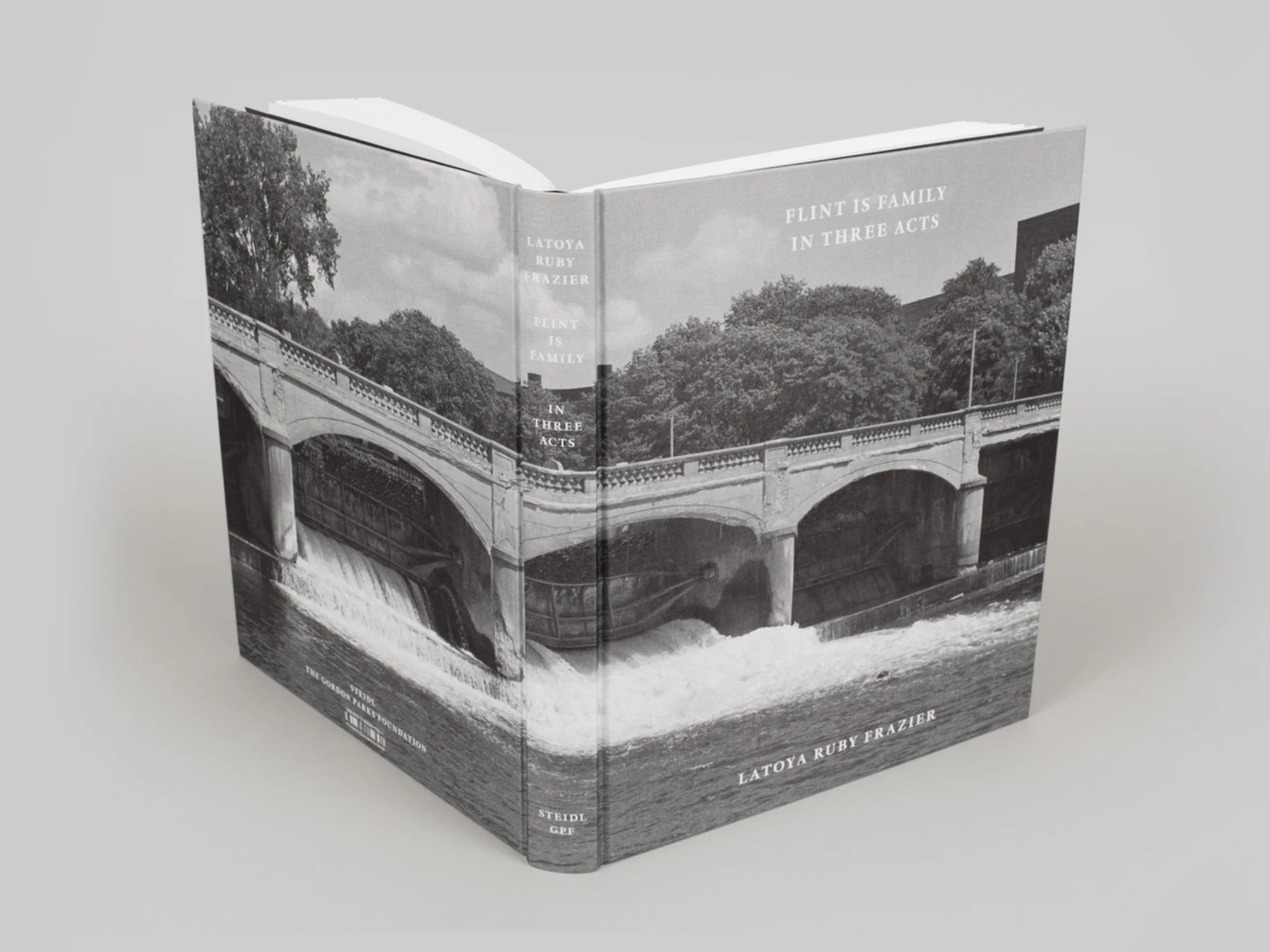 Flint is Family Book.jpg