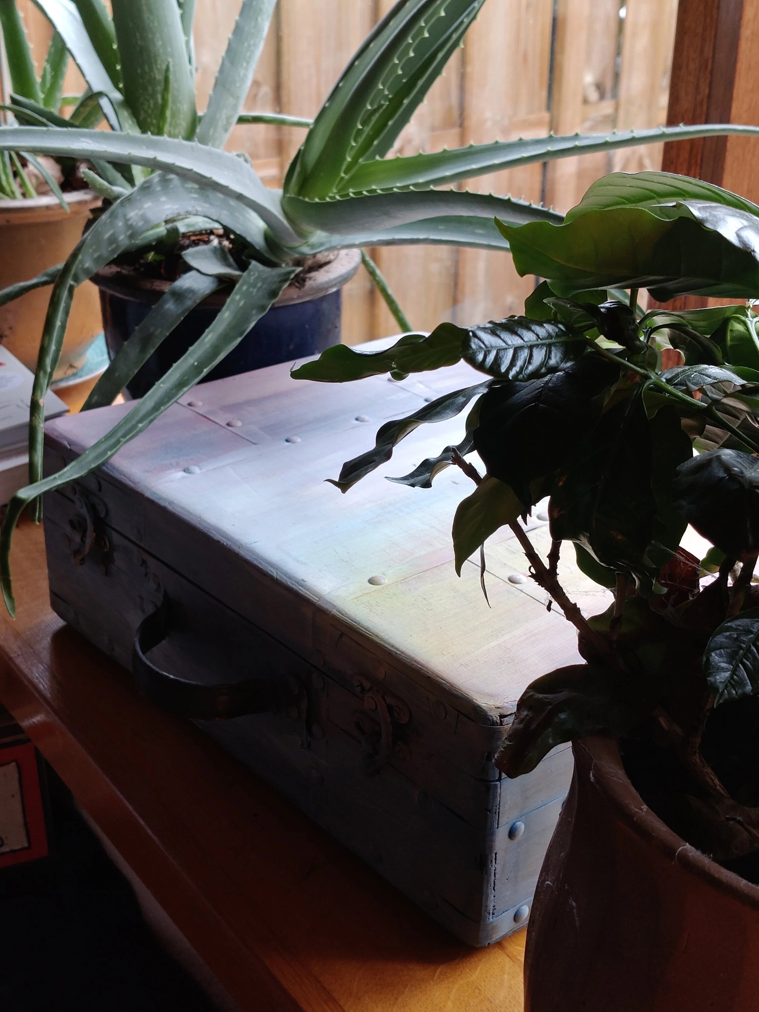 dagdroomkoffer - creatief - kindercoaching - daantje