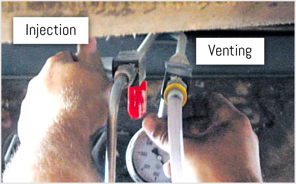 Transfusion Process