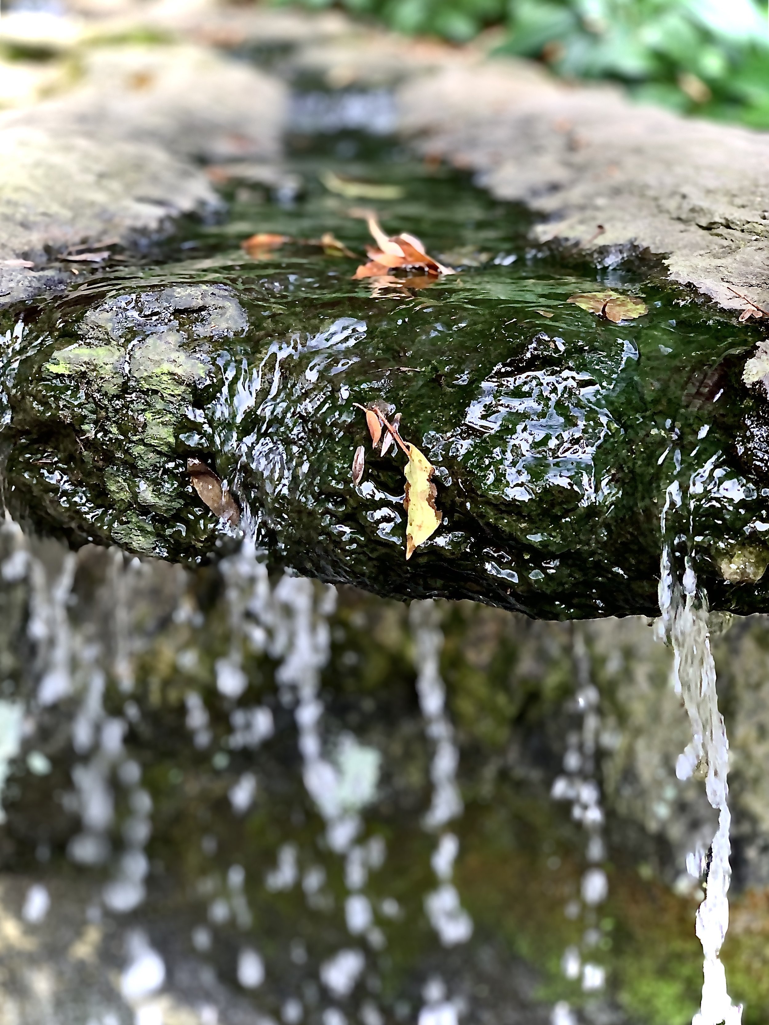 Close-up of a moss-covered stone fountain with flowing water and fallen leaves.