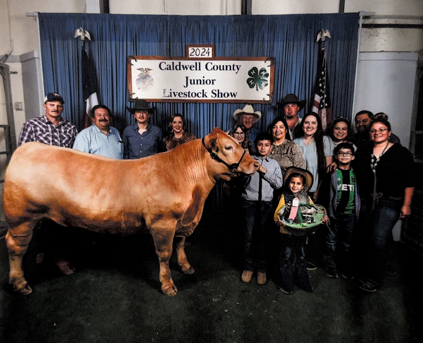 Screenshot 2026-01-22 092004.png