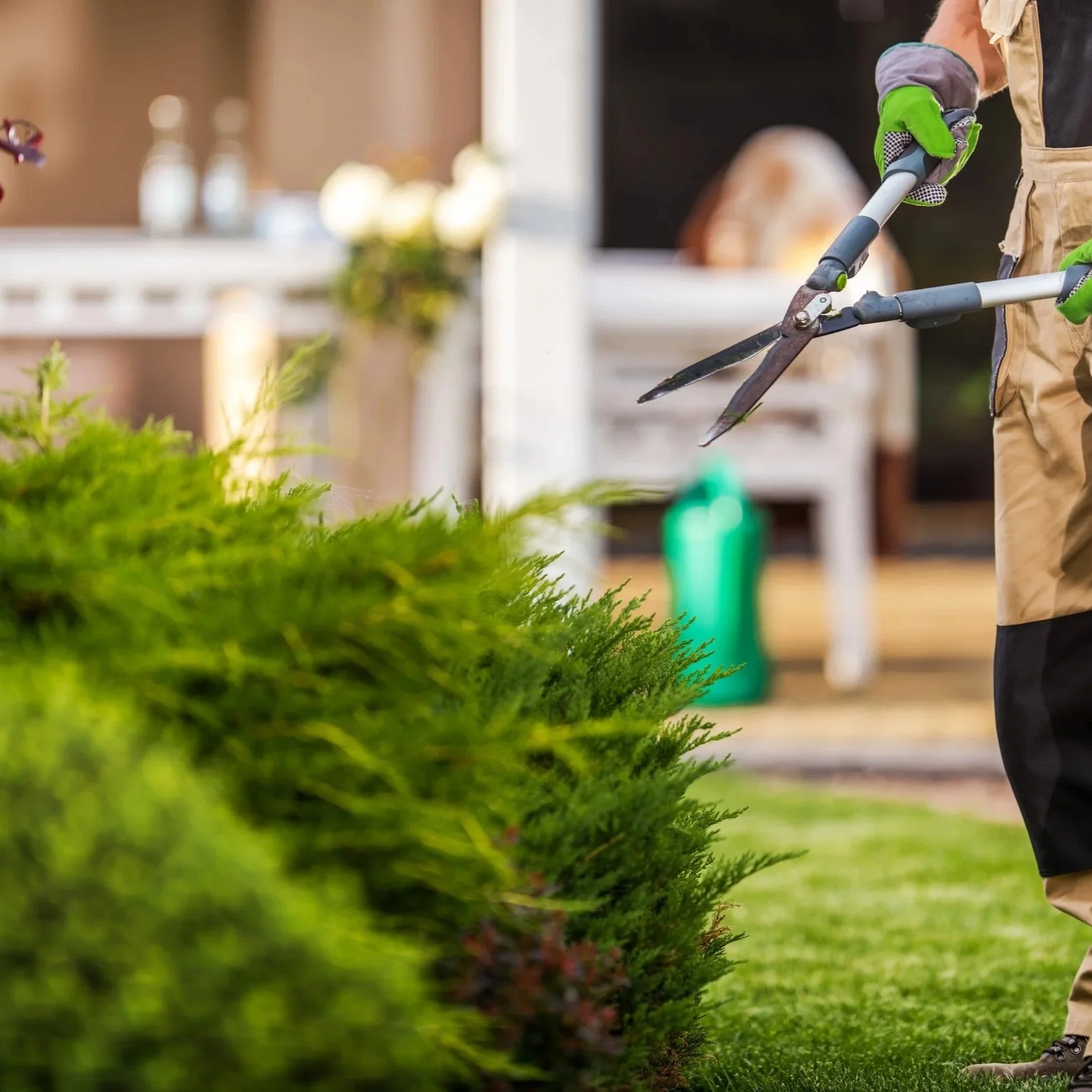 Person trimming bushes with hedge shears in garden.