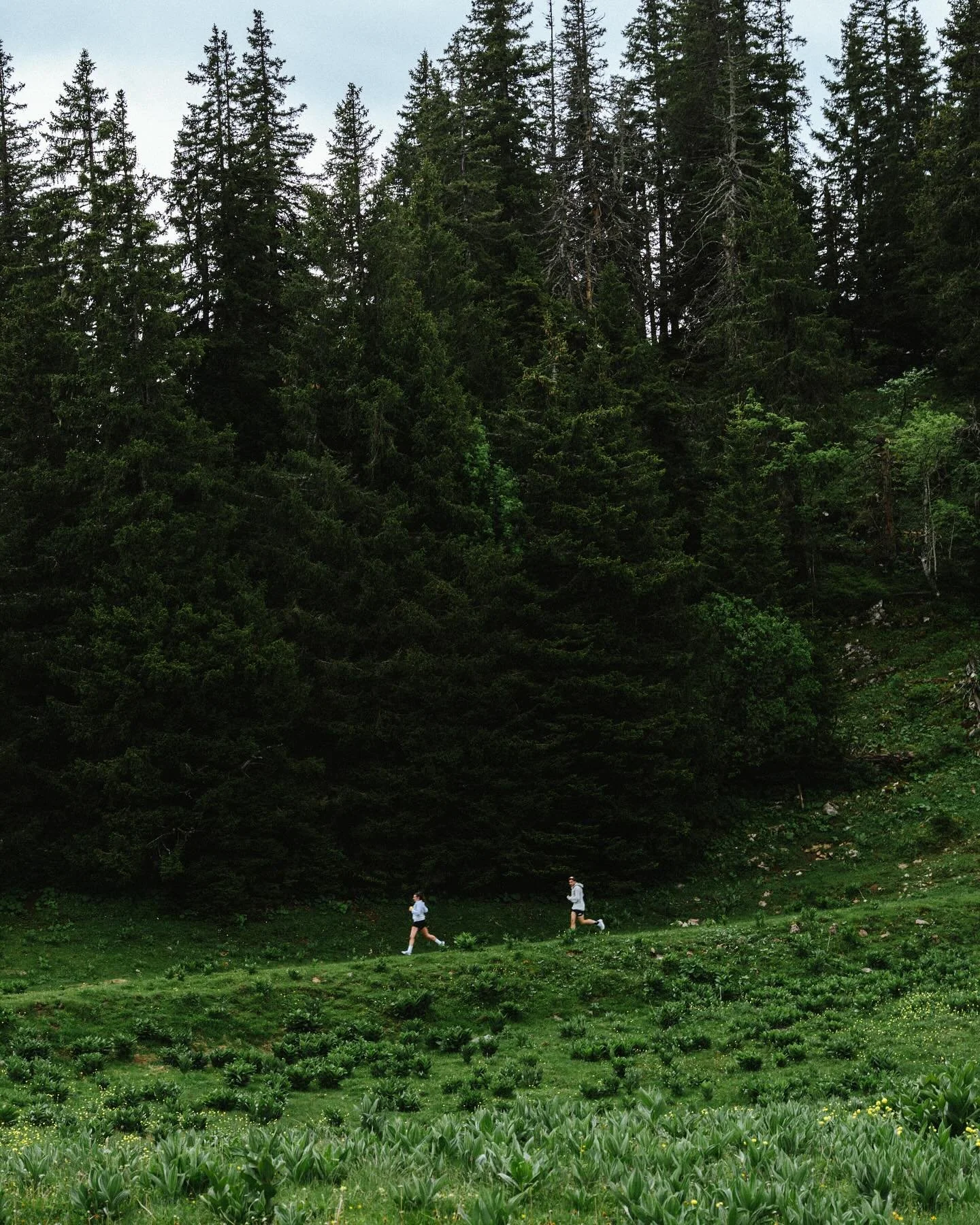 Alltricks x @nikerunning 
Deux jours en montagne avec de belles marques ⛰️ 
.
@primrose.fc @baouw.organic.nutrition @silvaglobal