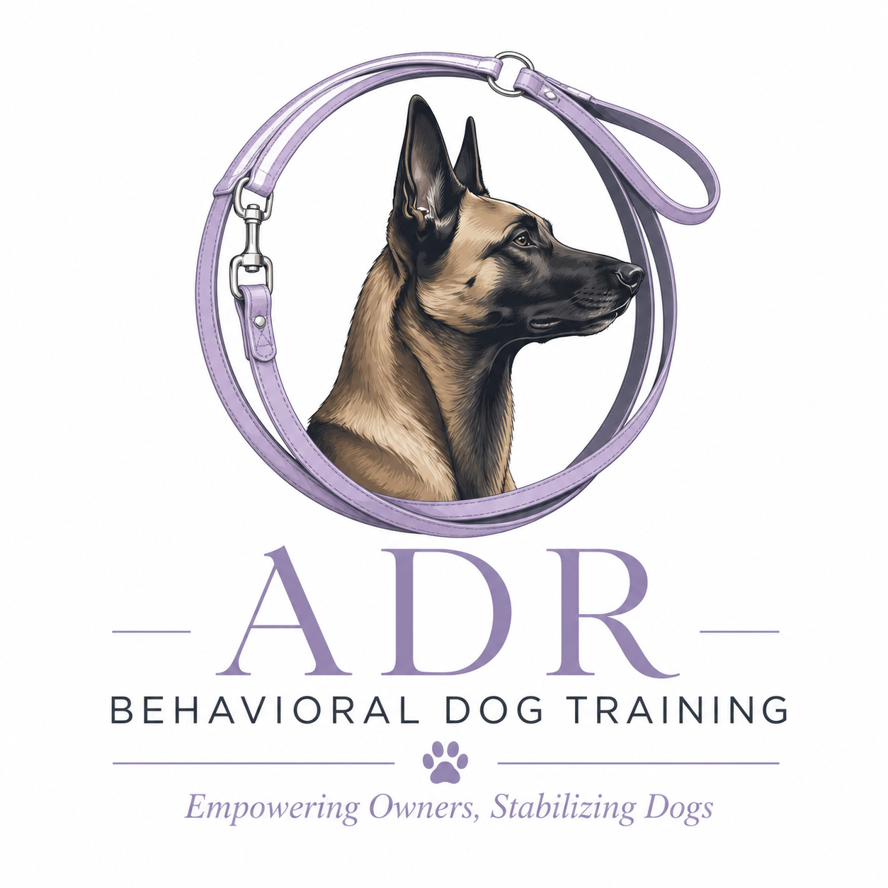P13 Dog Retreats