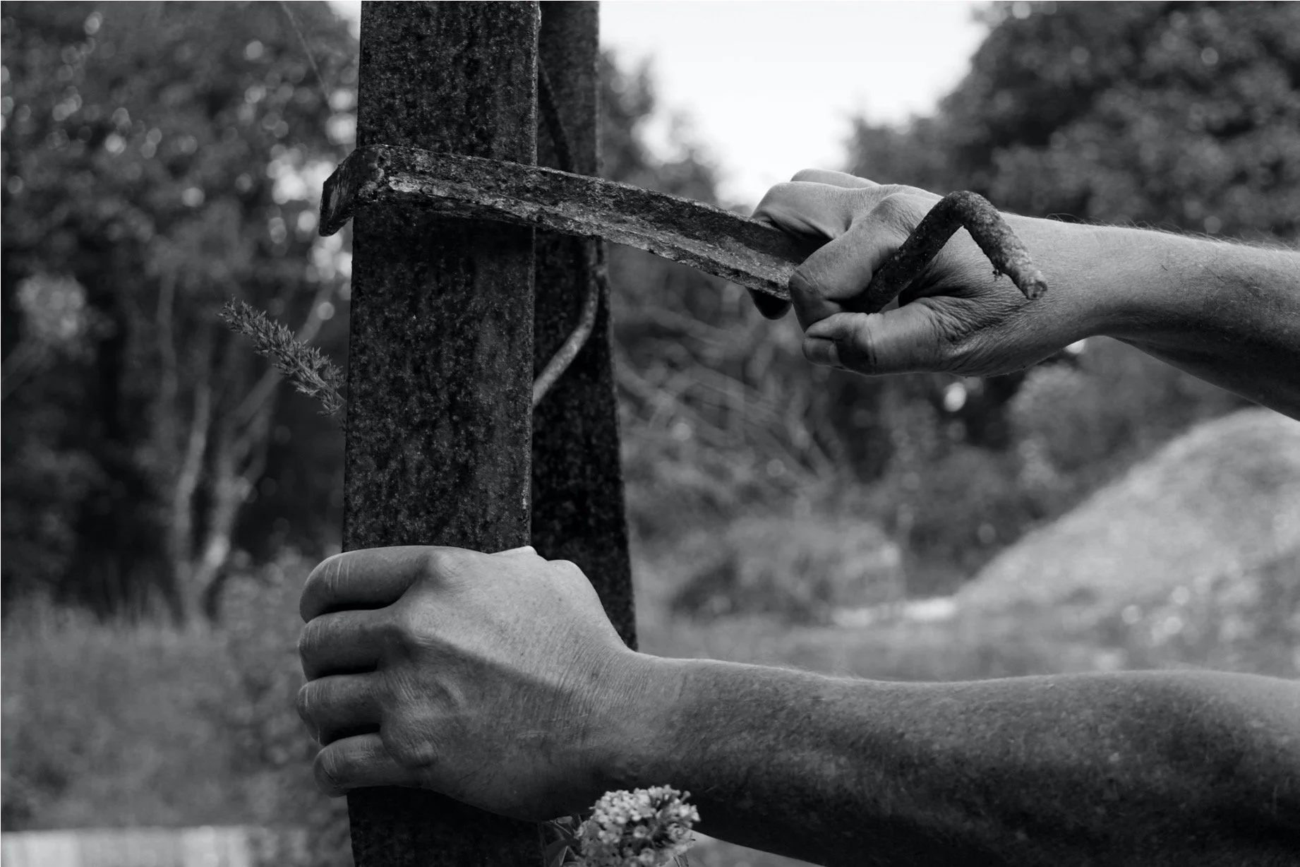 Different Perspectives