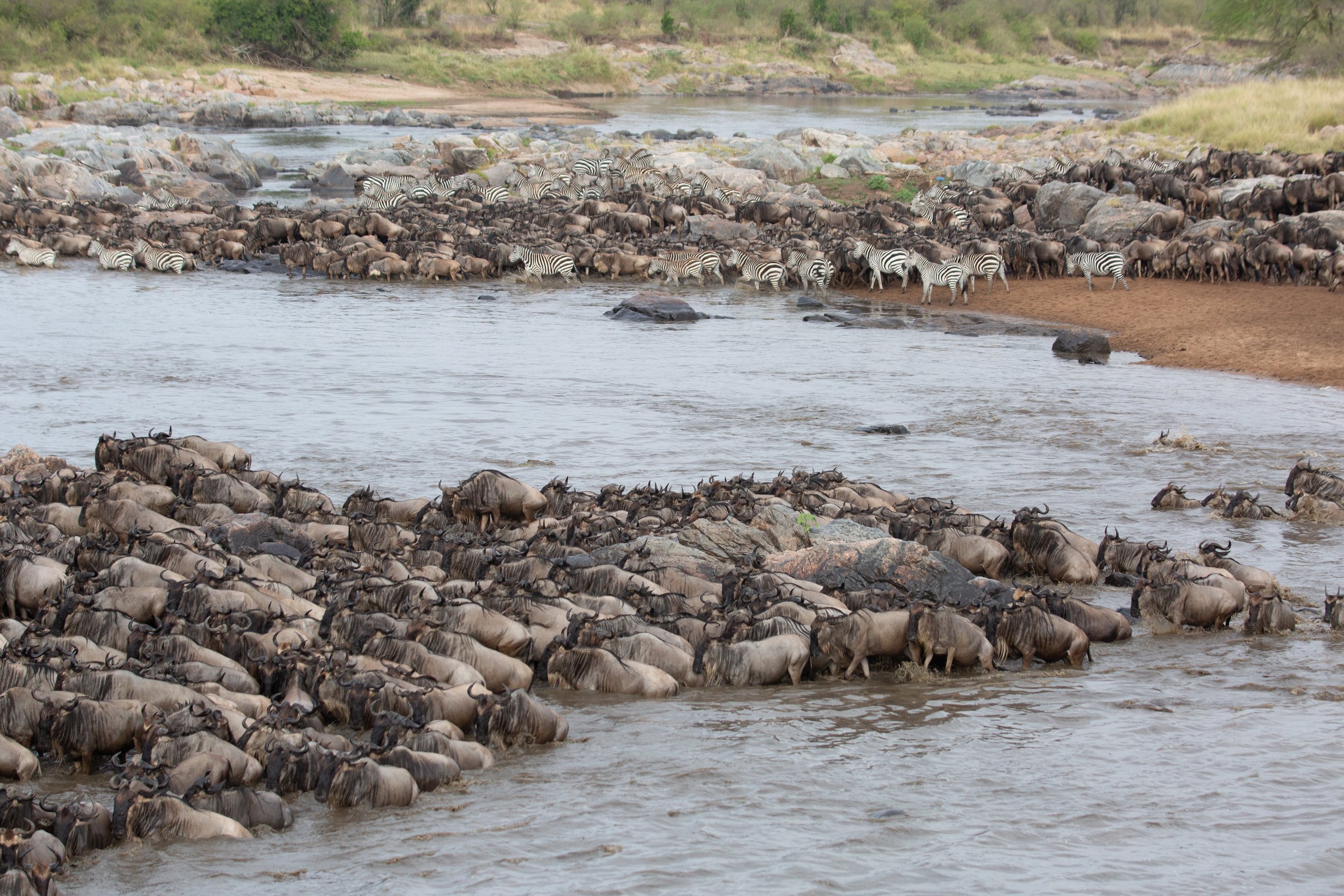 Tanzania - The Great Migration