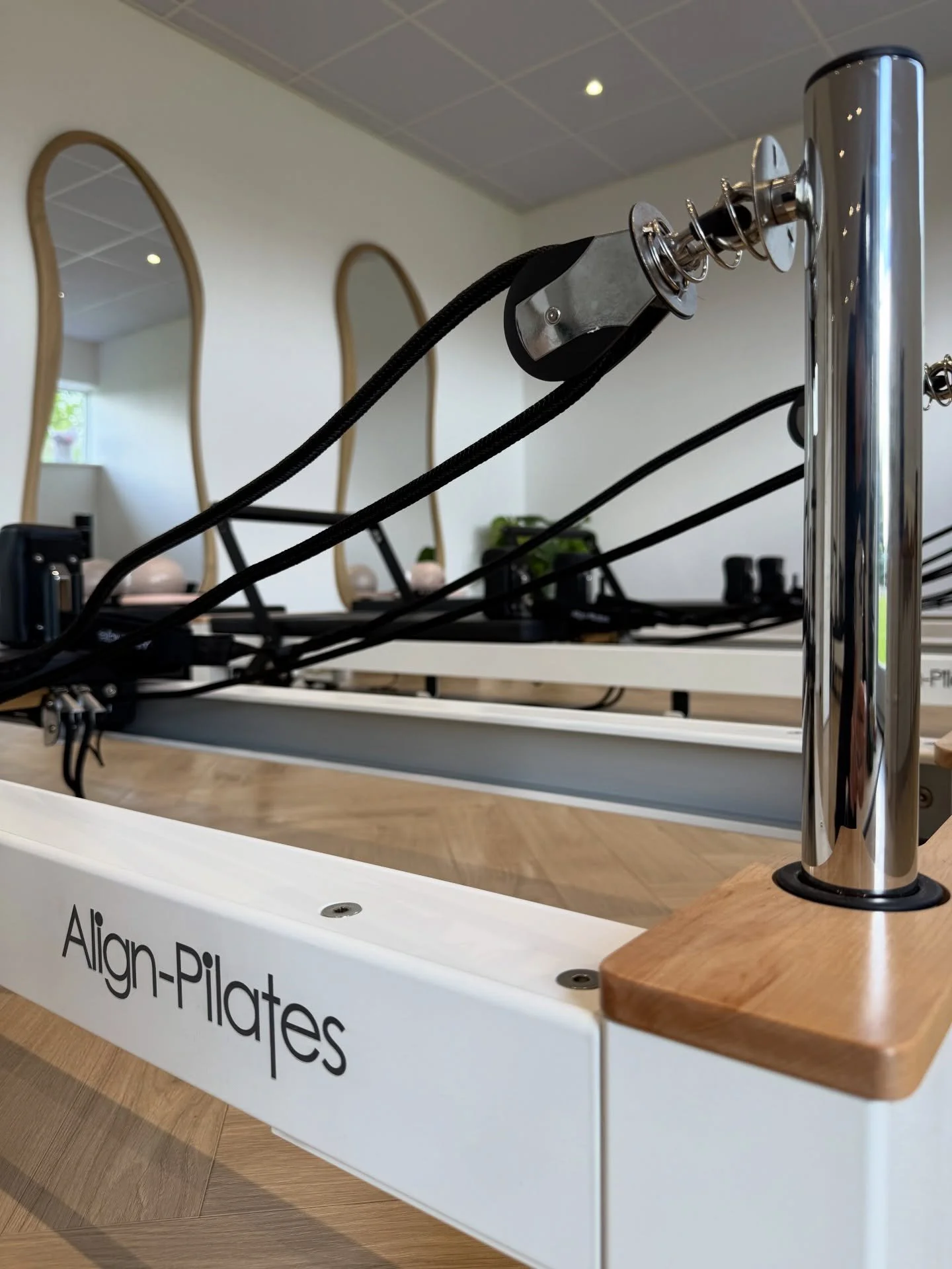 Why we chose the Align C8 Pro reformers ✨

Smooth, controlled movement, easy adjustments for every body and the durability to support a busy studio.

We chose equipment that lets us deliver consistent, high-quality sessions so you can focus on moving