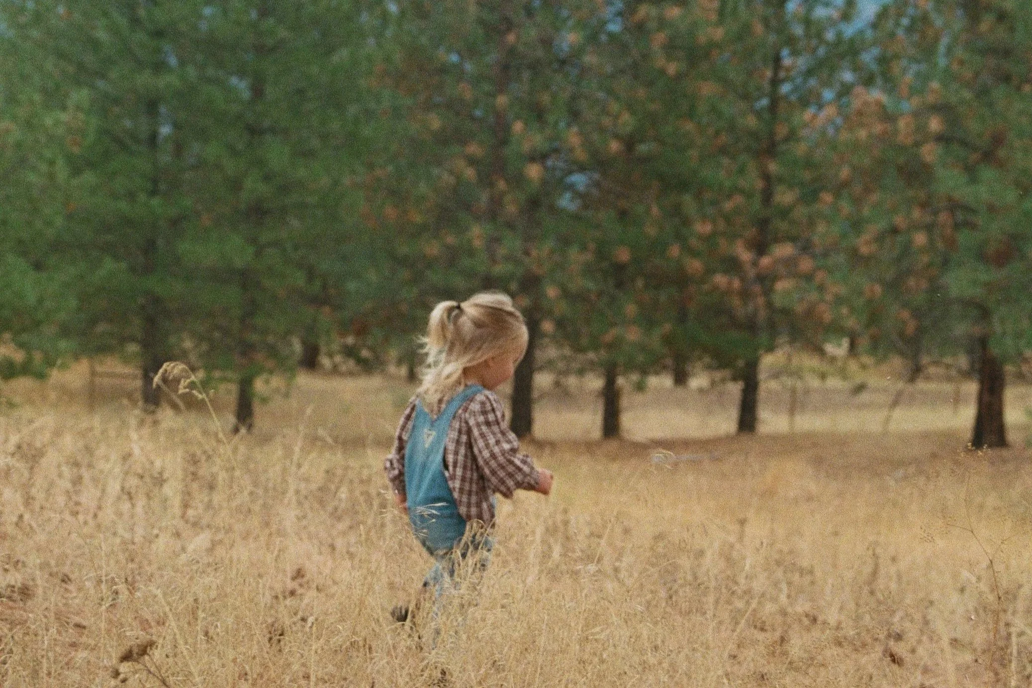 A young girl with blonde hair in a ponytail wearing a plaid shirt and a blue backpack walking through a field of tall, dry grass with trees in the background.